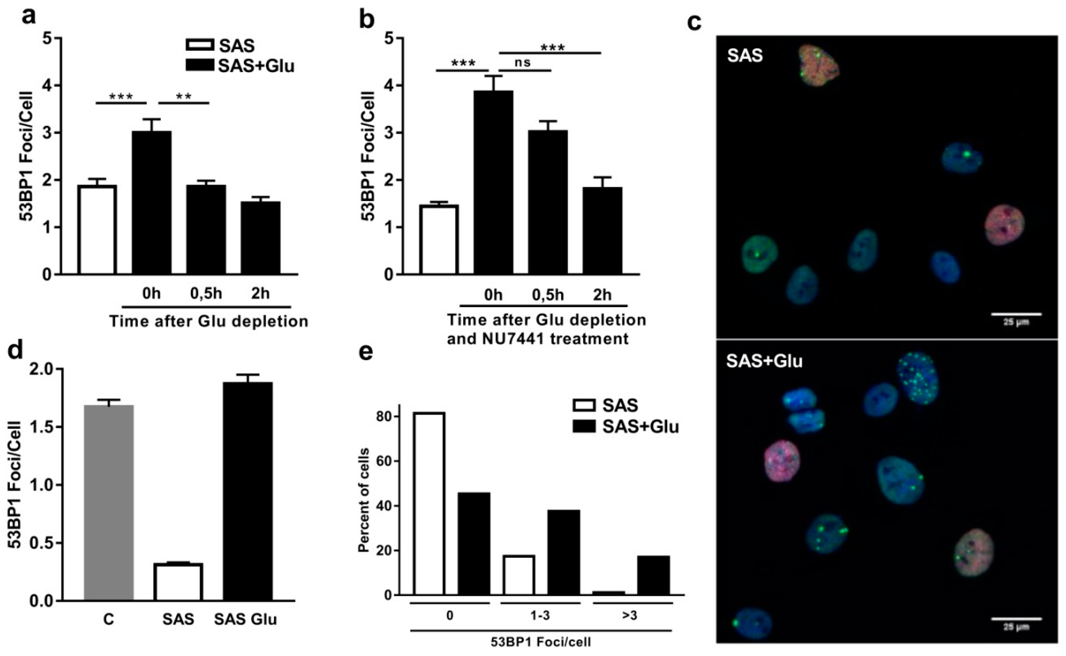 Cancers 11 00306 g001 Cancers 11 00306 g001