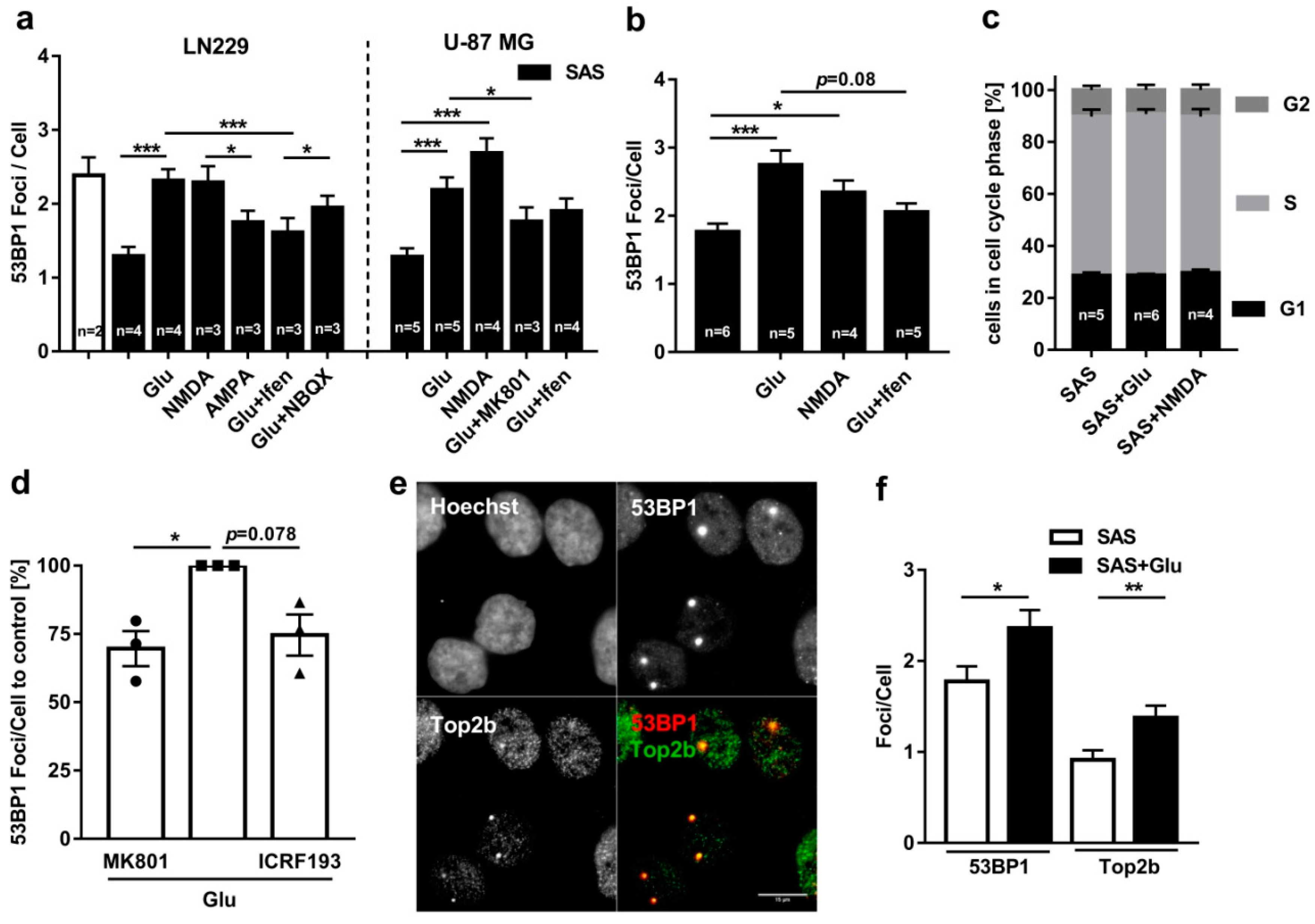 Cancers 11 00306 g002 Cancers 11 00306 g002