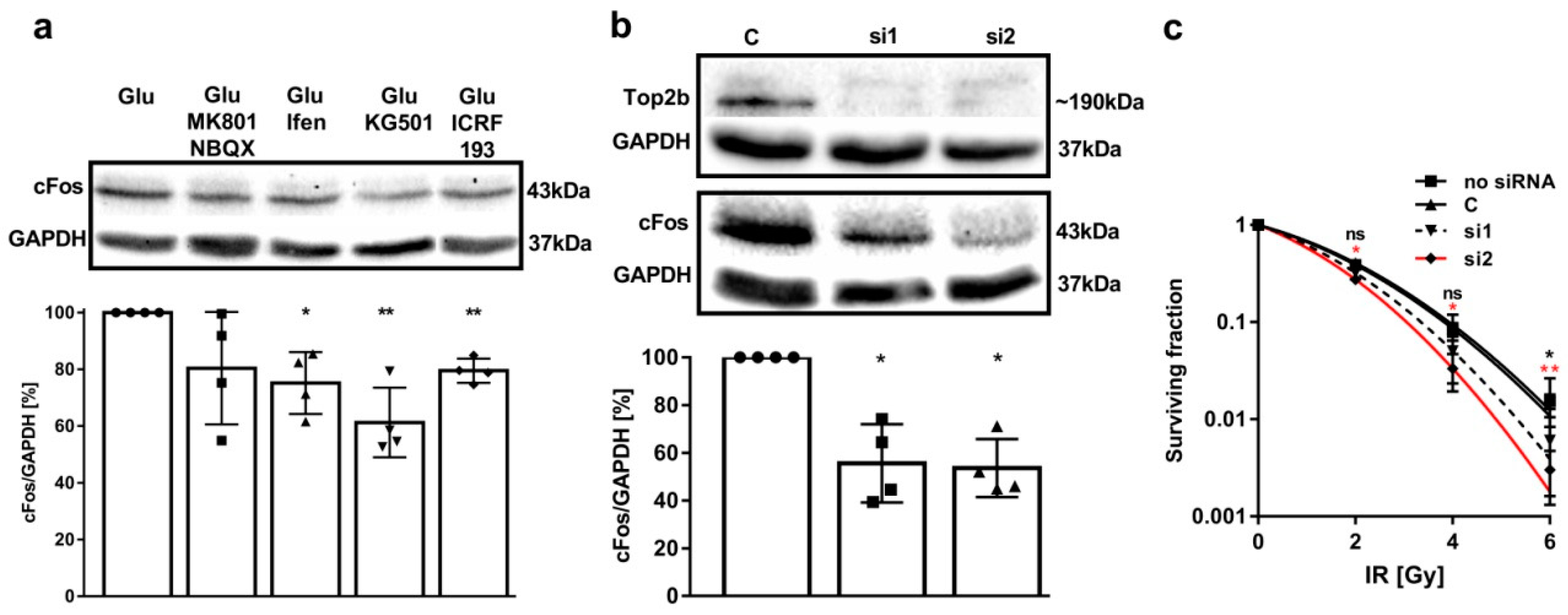 Cancers 11 00306 g003 Cancers 11 00306 g003