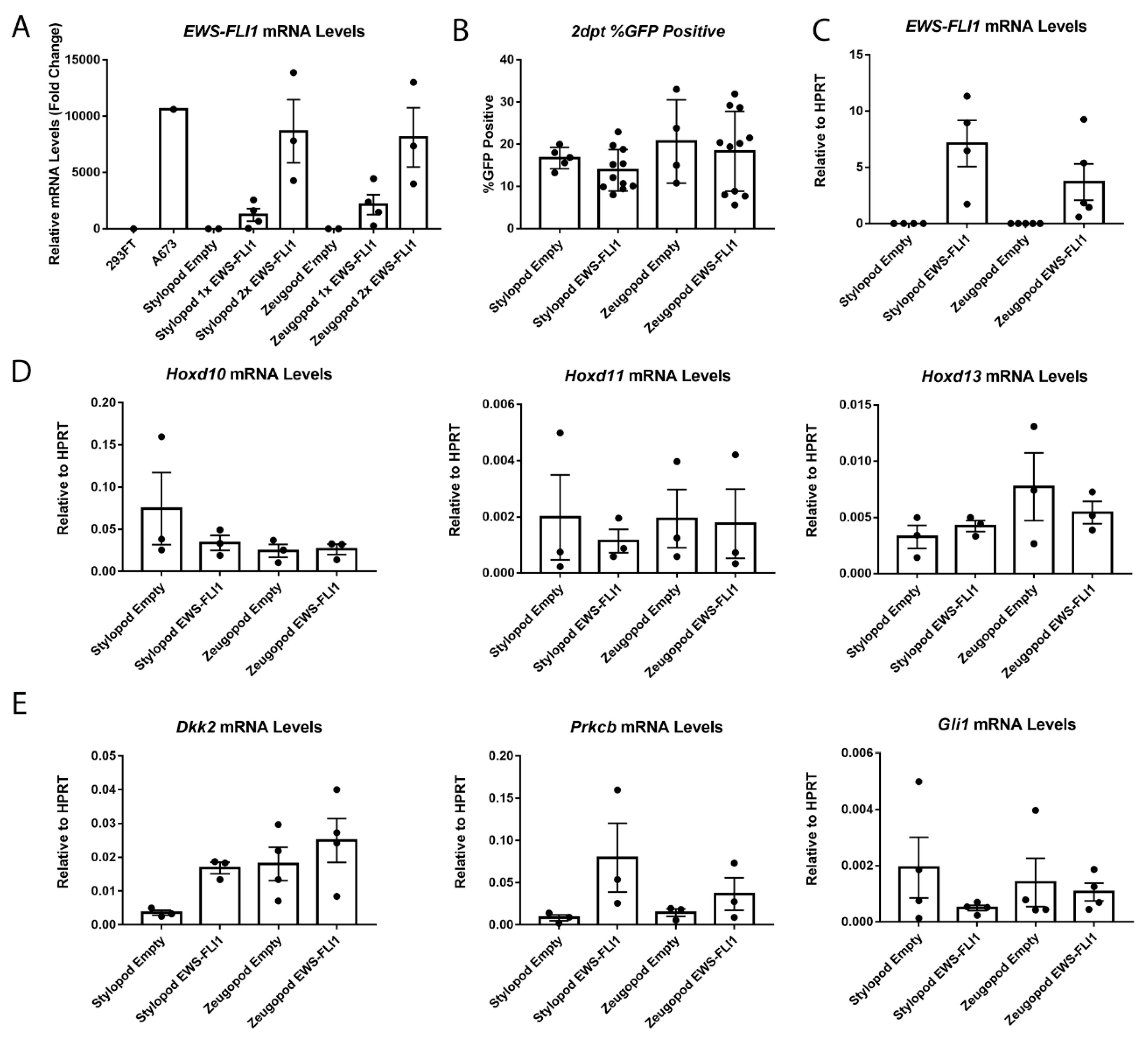 Cancers 11 00313 g003