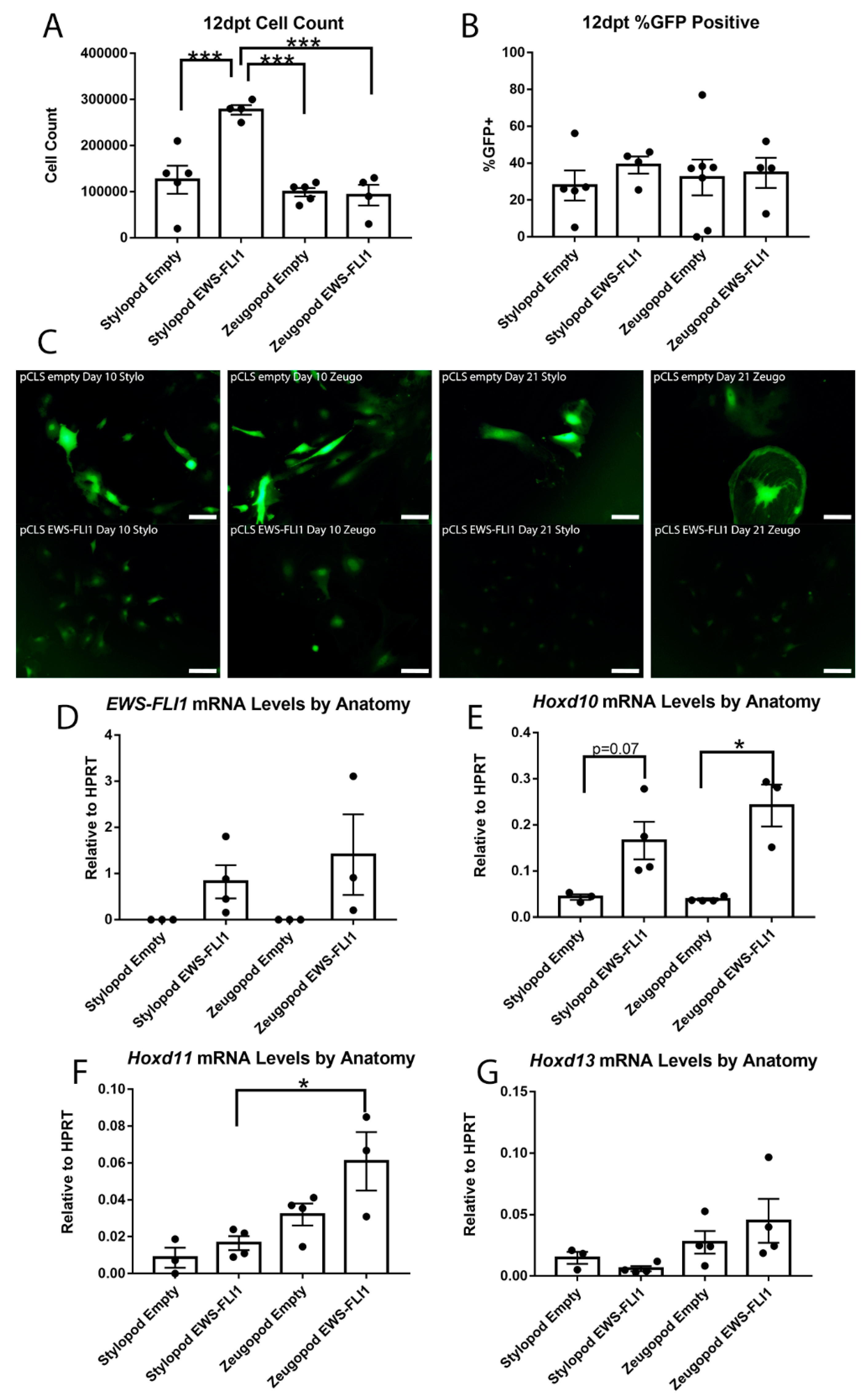 Cancers 11 00313 g004