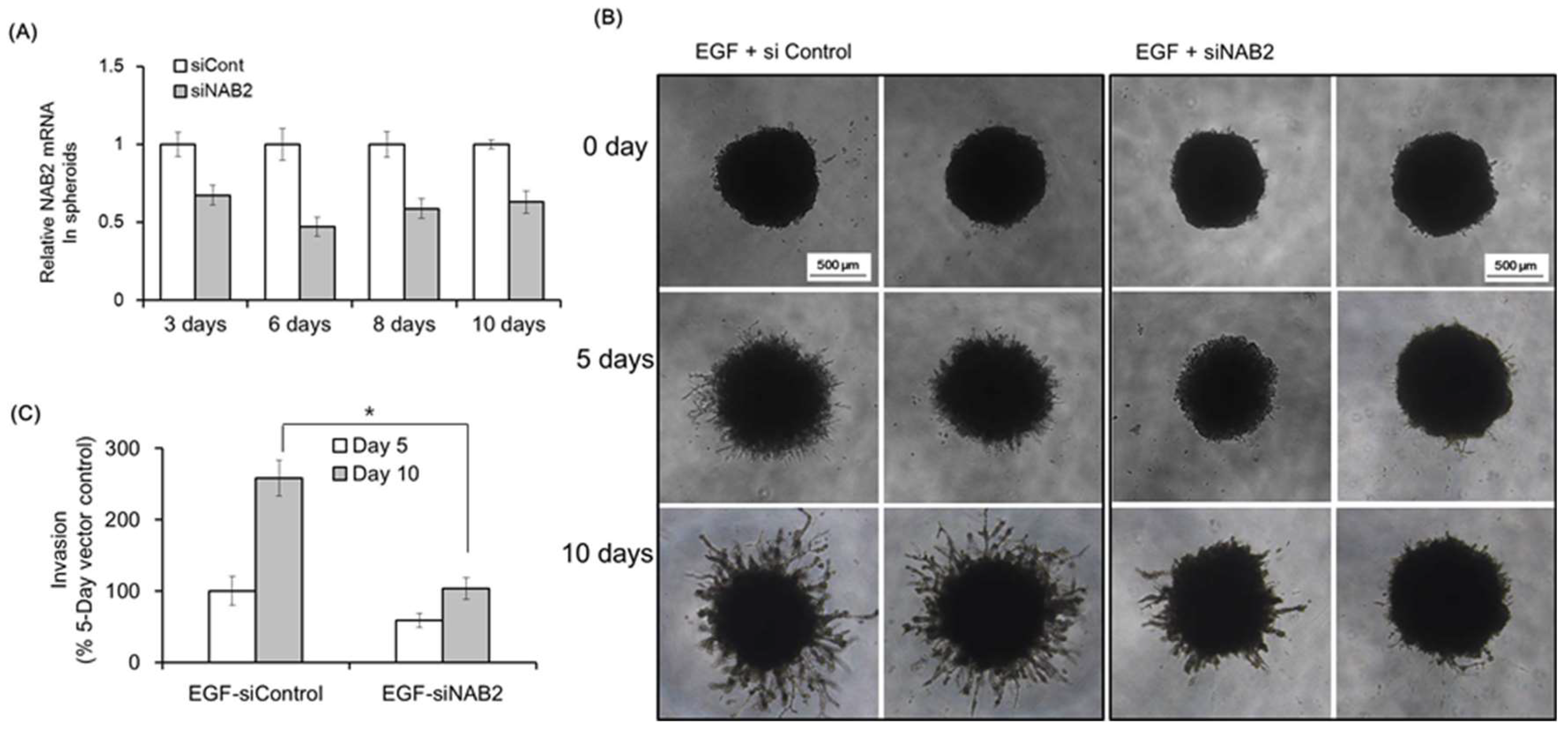 Cancers 11 00315 g003