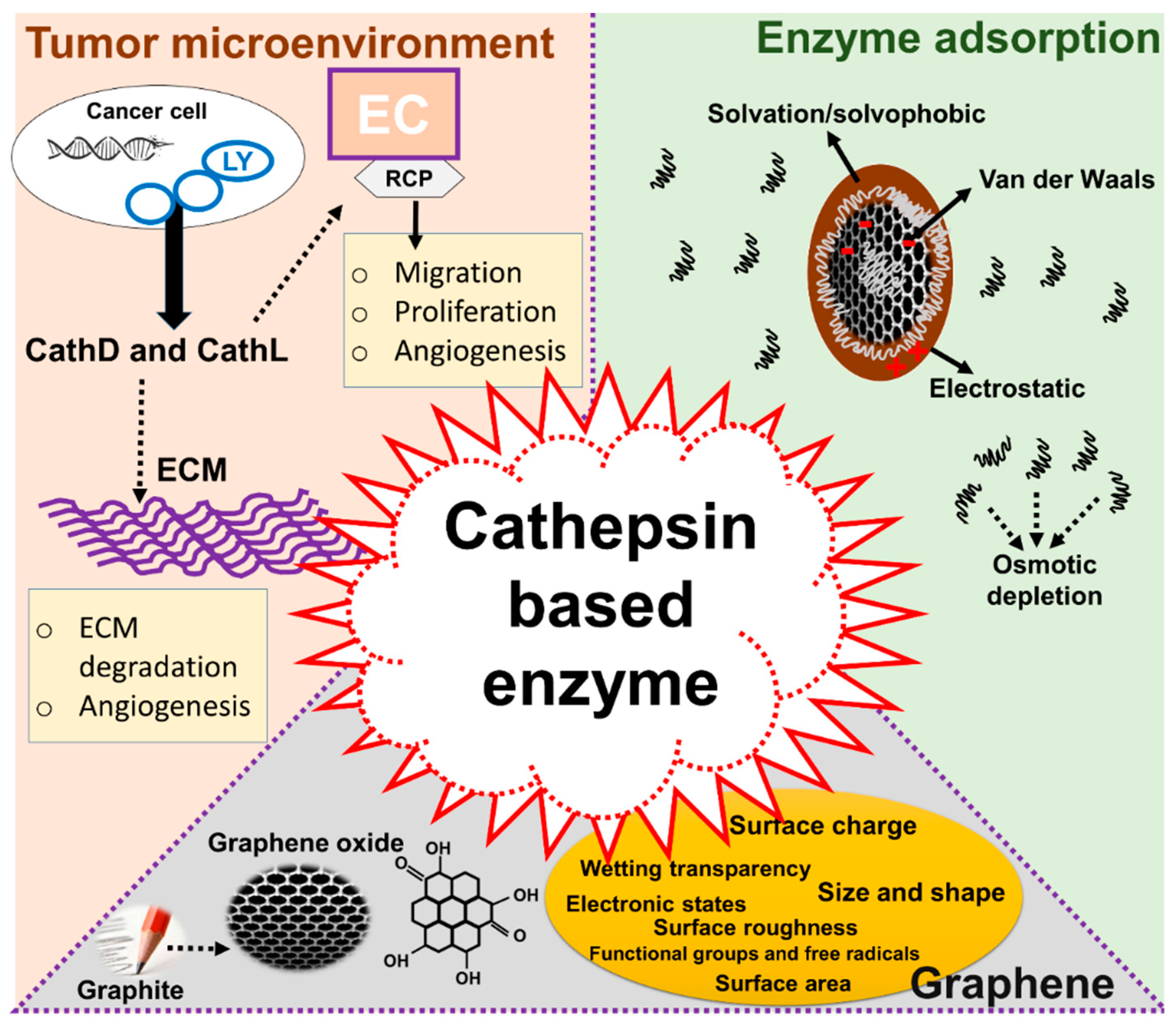Cancers 11 00319 g001 Cancers 11 00319 g001