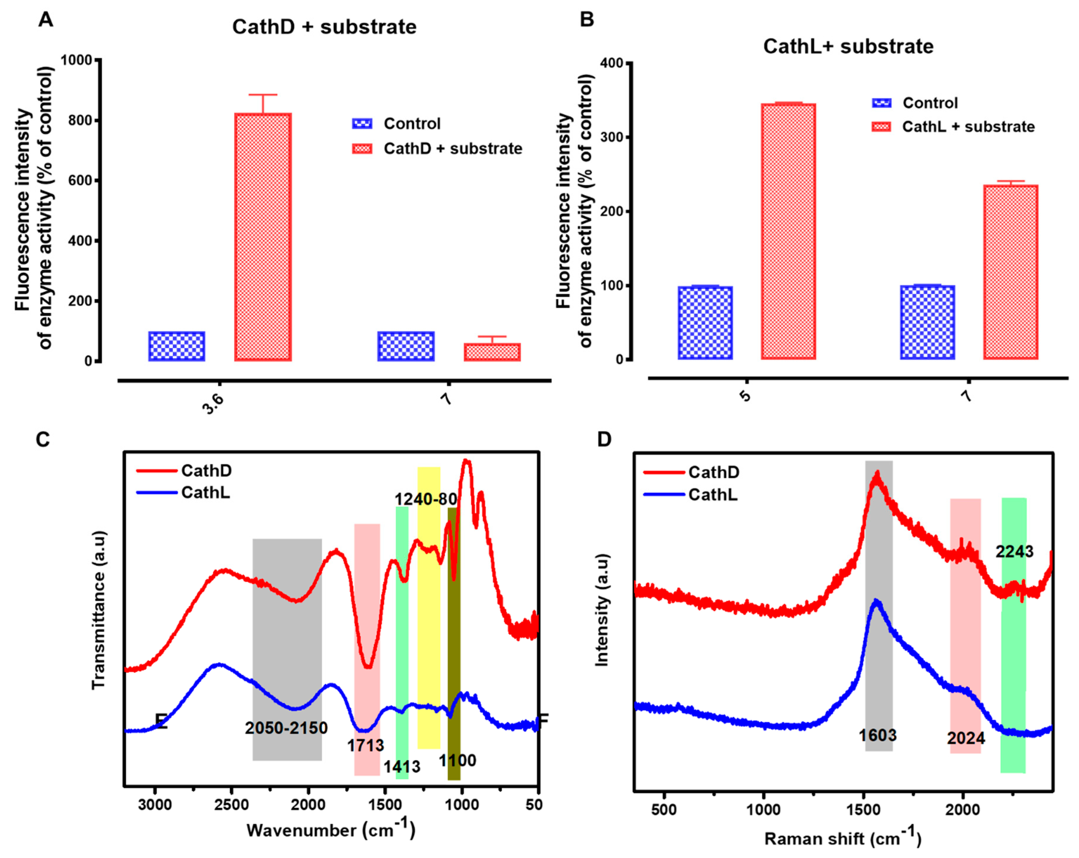 Cancers 11 00319 g003a Cancers 11 00319 g003a
