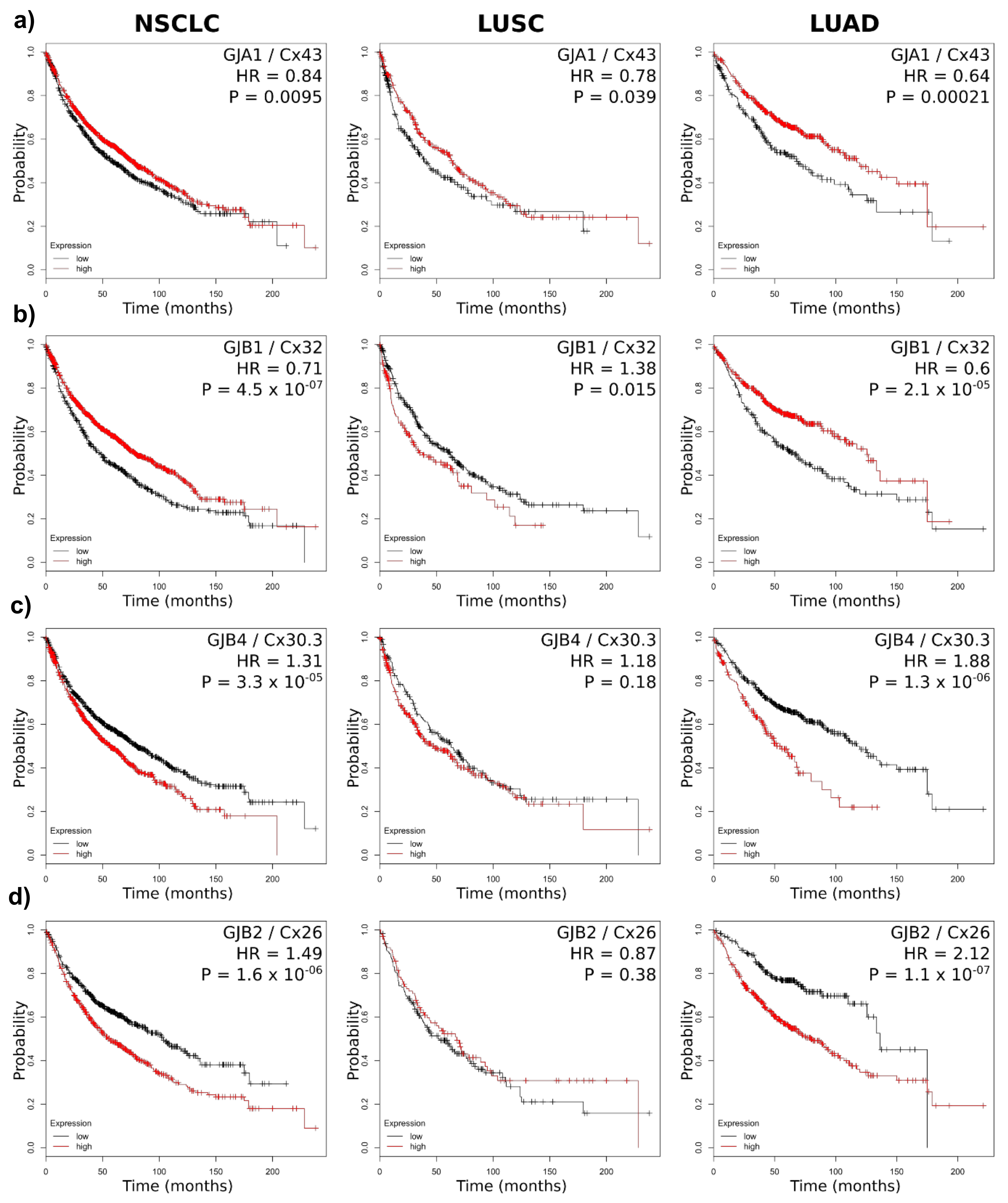 Cancers 11 00320 g004 550