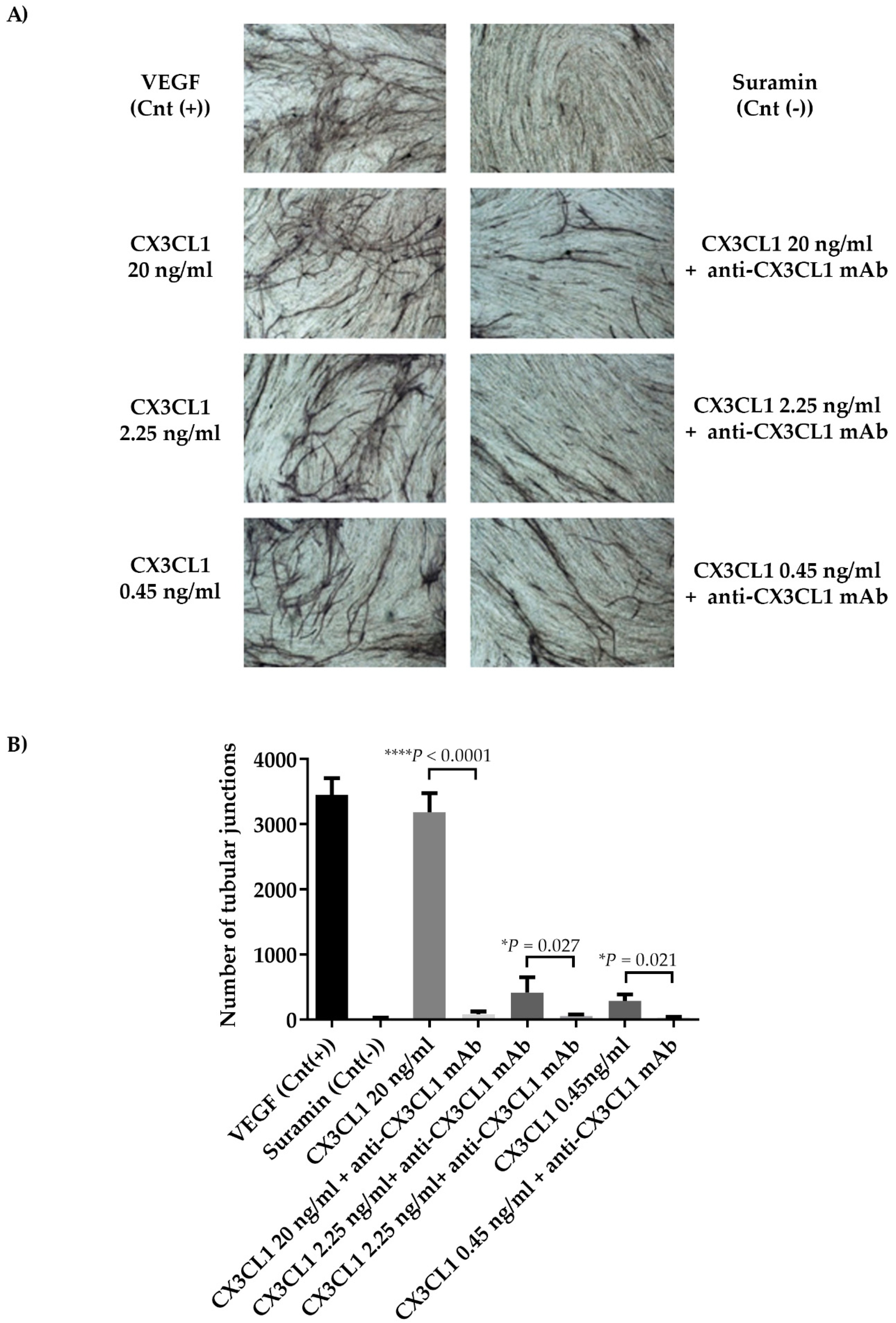 Cancers 11 00321 g007