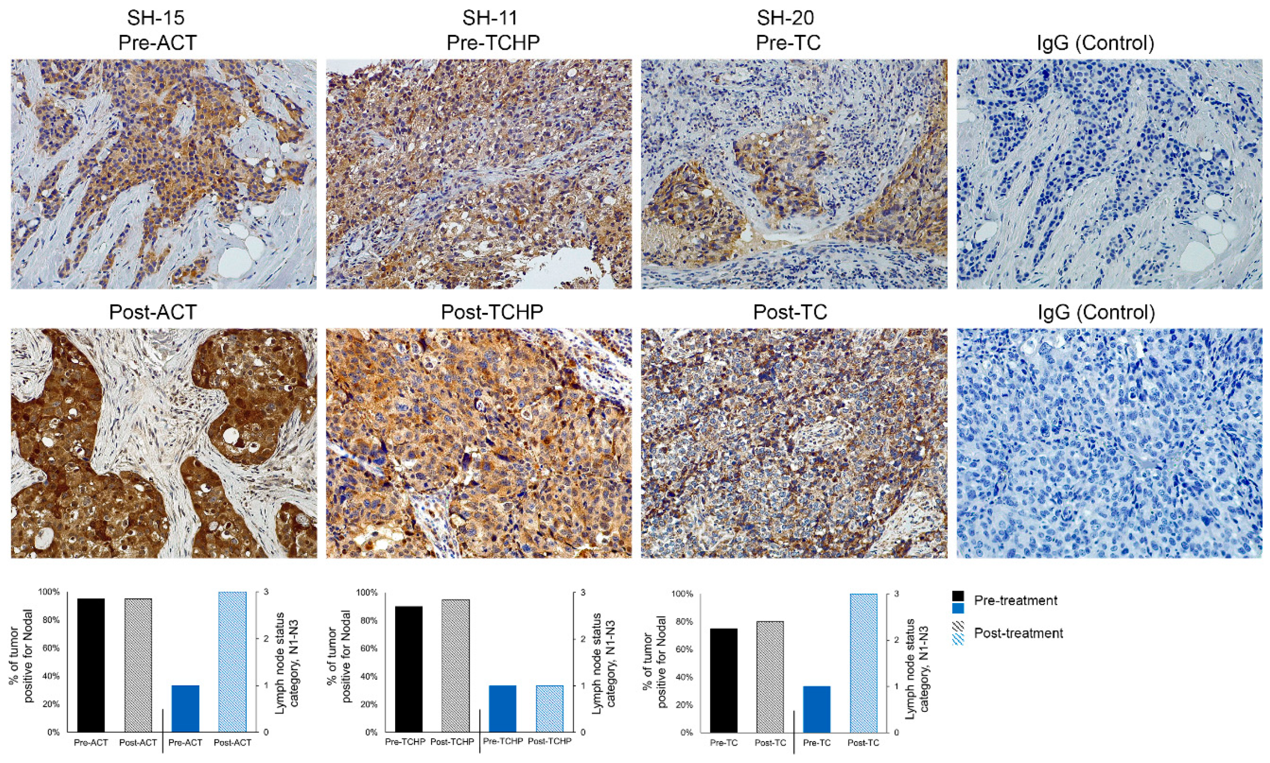 Cancers 11 00340 g002 Cancers 11 00340 g002