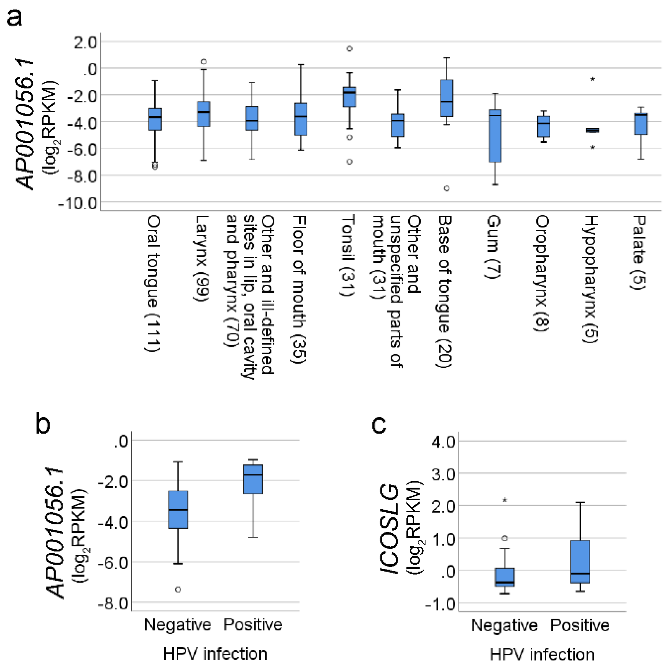 Cancers 11 00347 g002