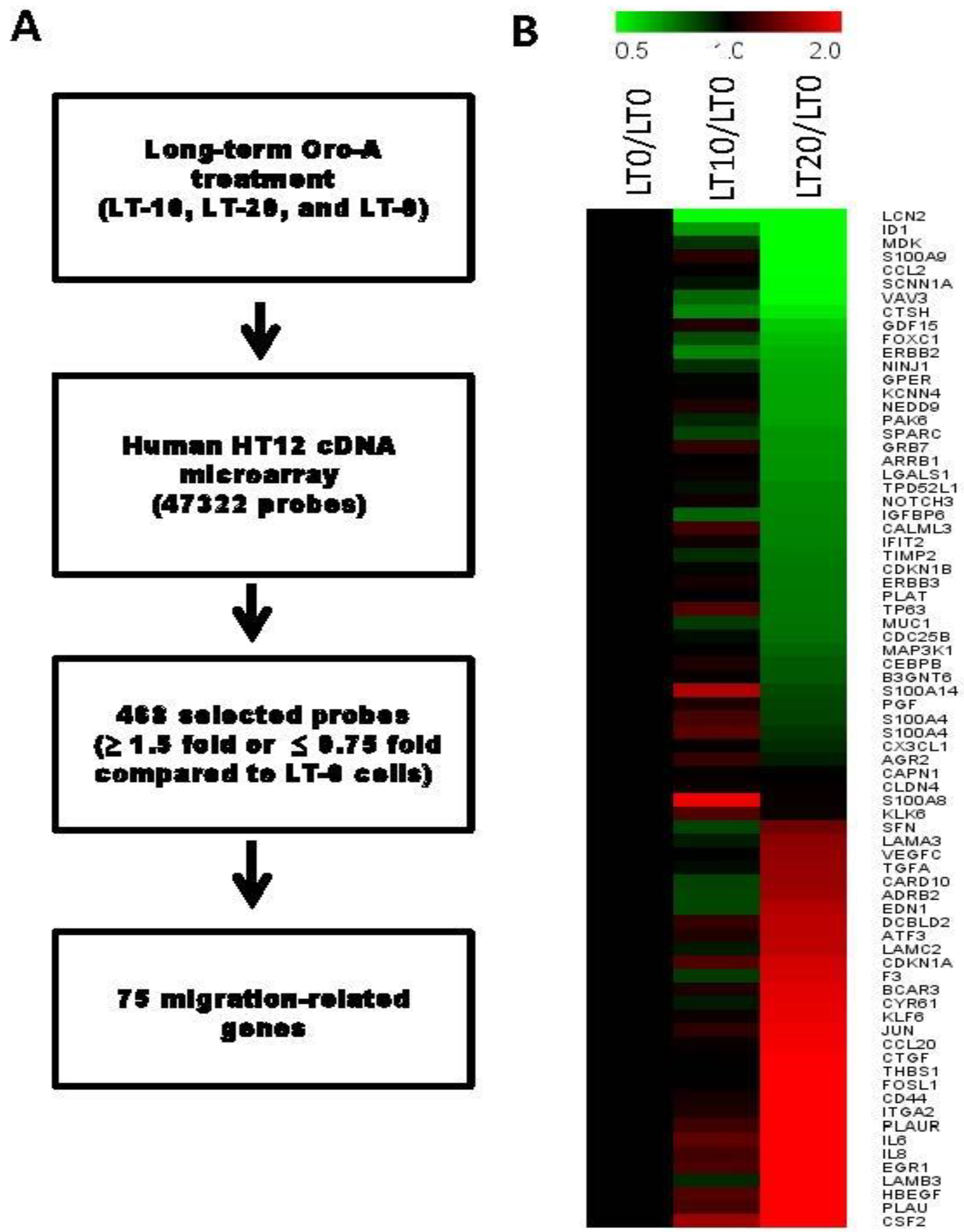 Cancers 11 00353 g003
