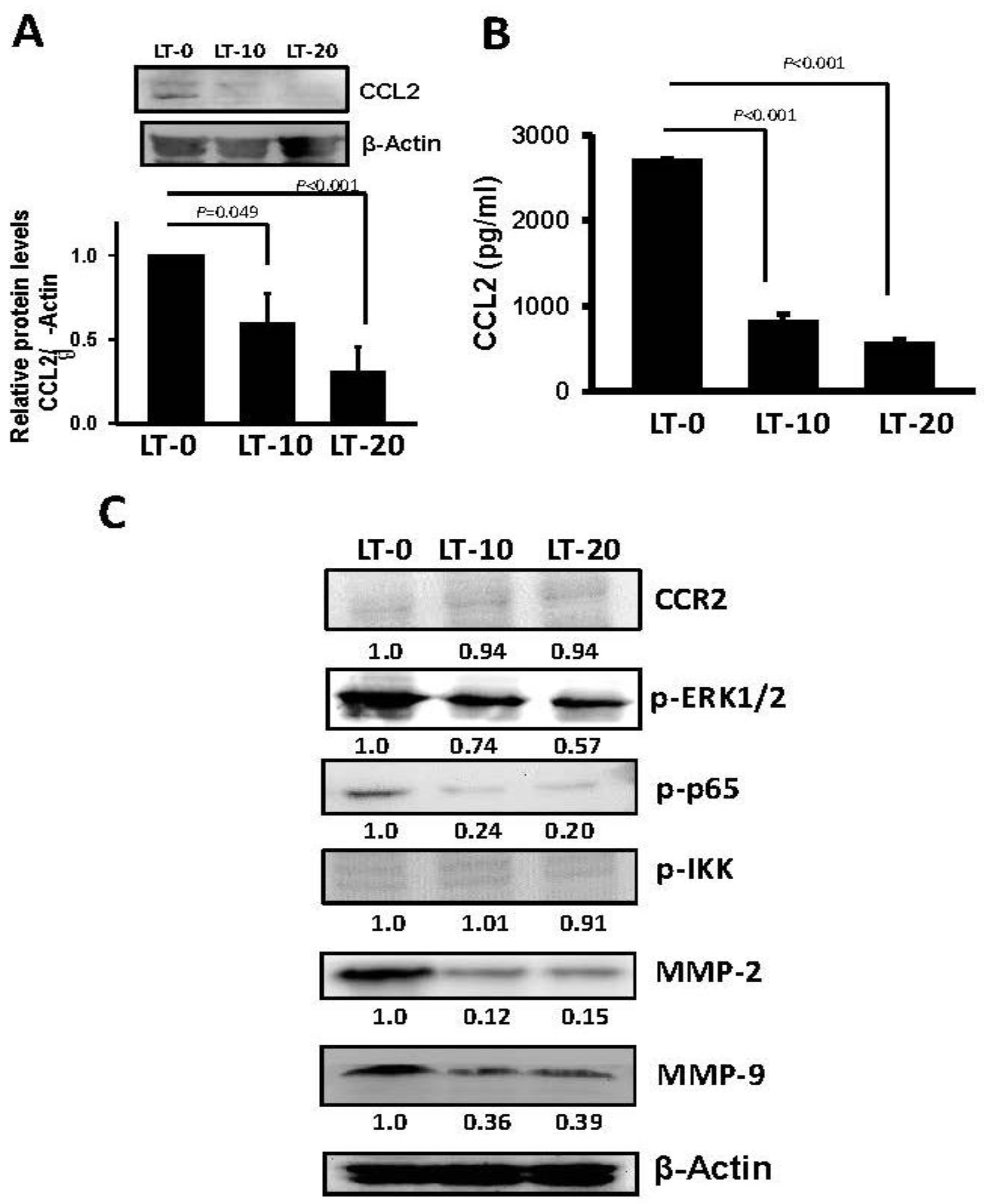 Cancers 11 00353 g005