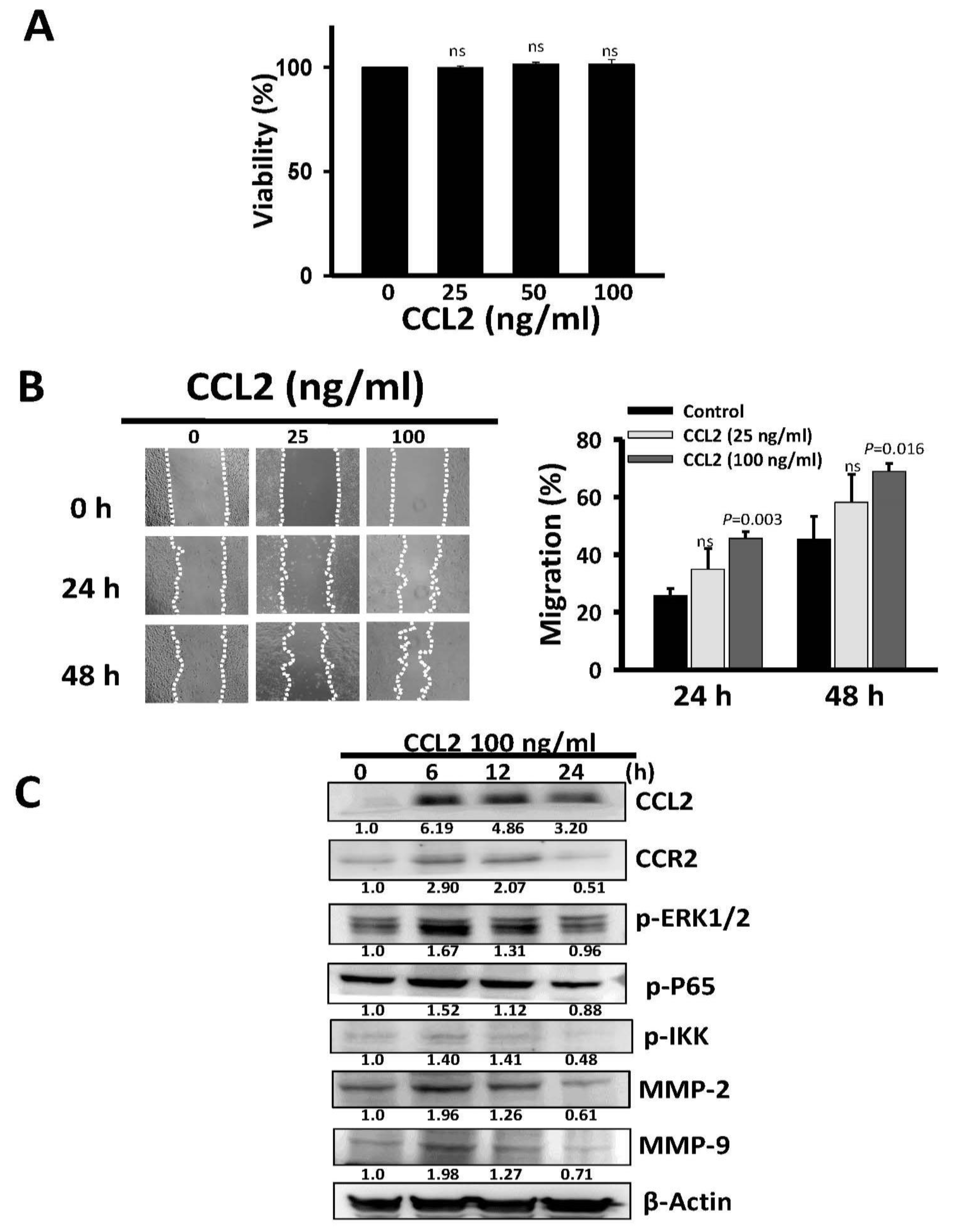 Cancers 11 00353 g007