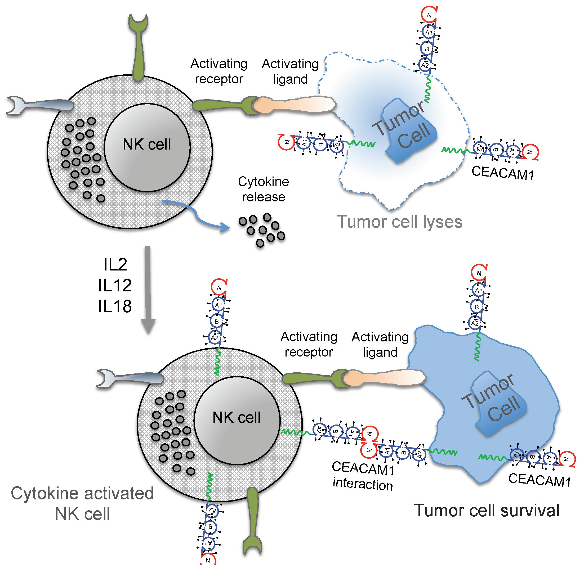 Cancers 11 00356 g002 Cancers 11 00356 g002