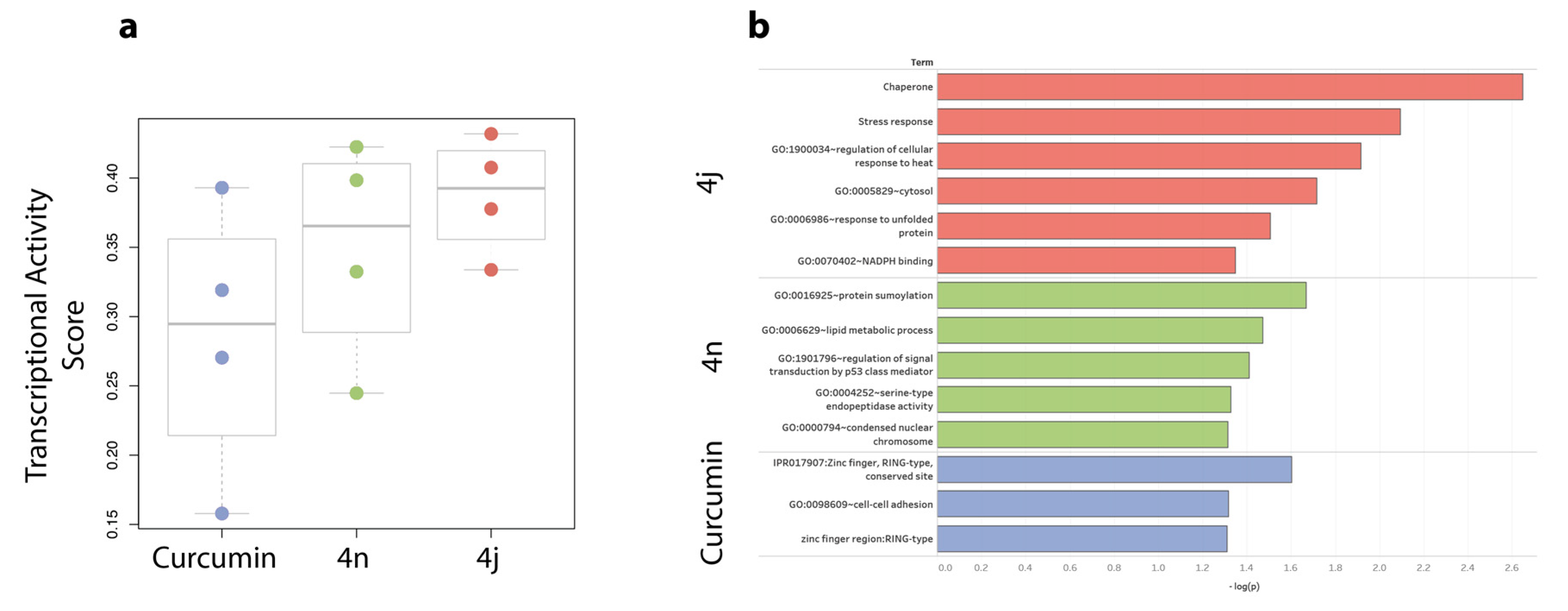 Cancers 11 00357 g005