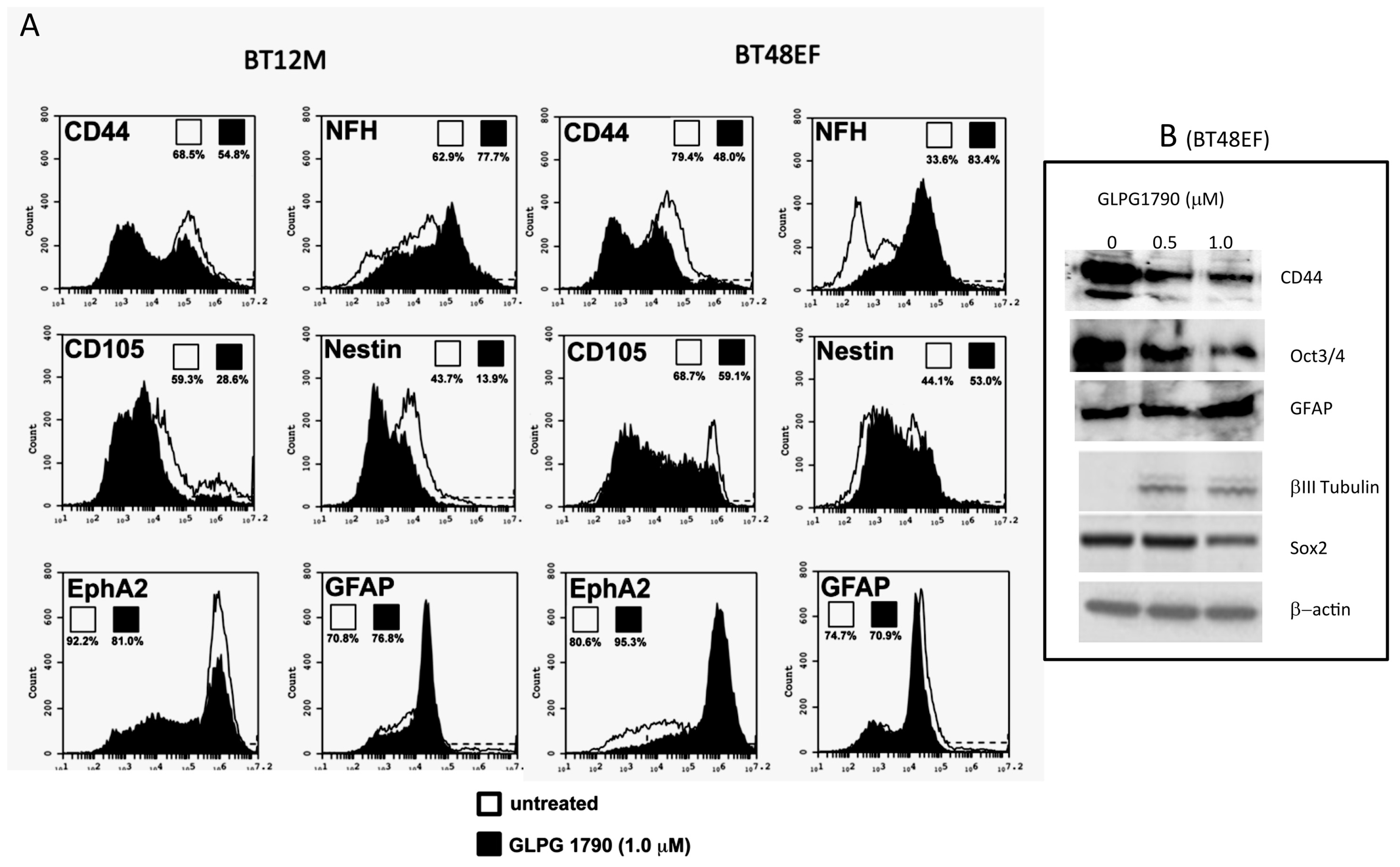 Cancers 11 00359 g003a Cancers 11 00359 g003a