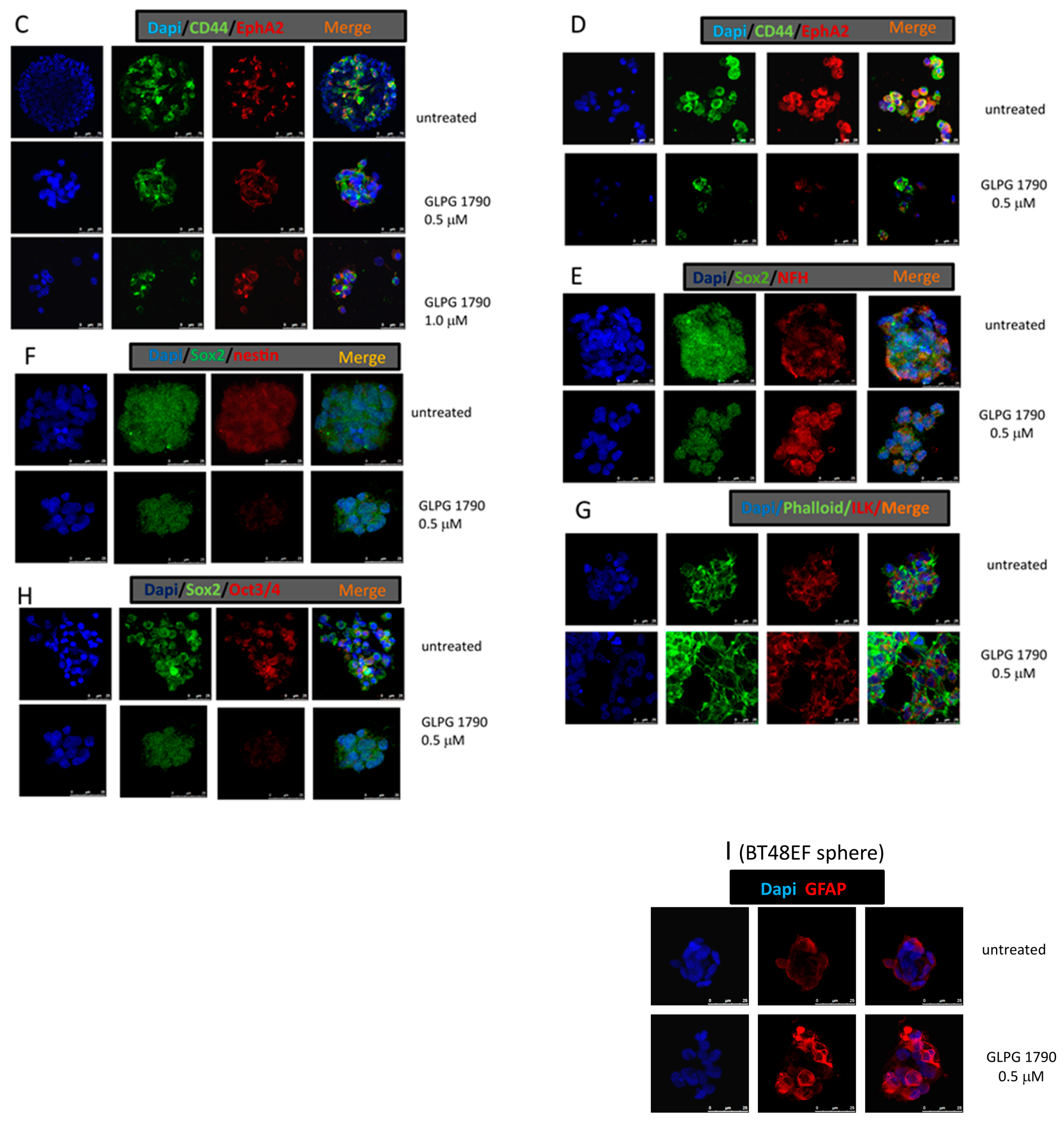 Cancers 11 00359 g003b Cancers 11 00359 g003b
