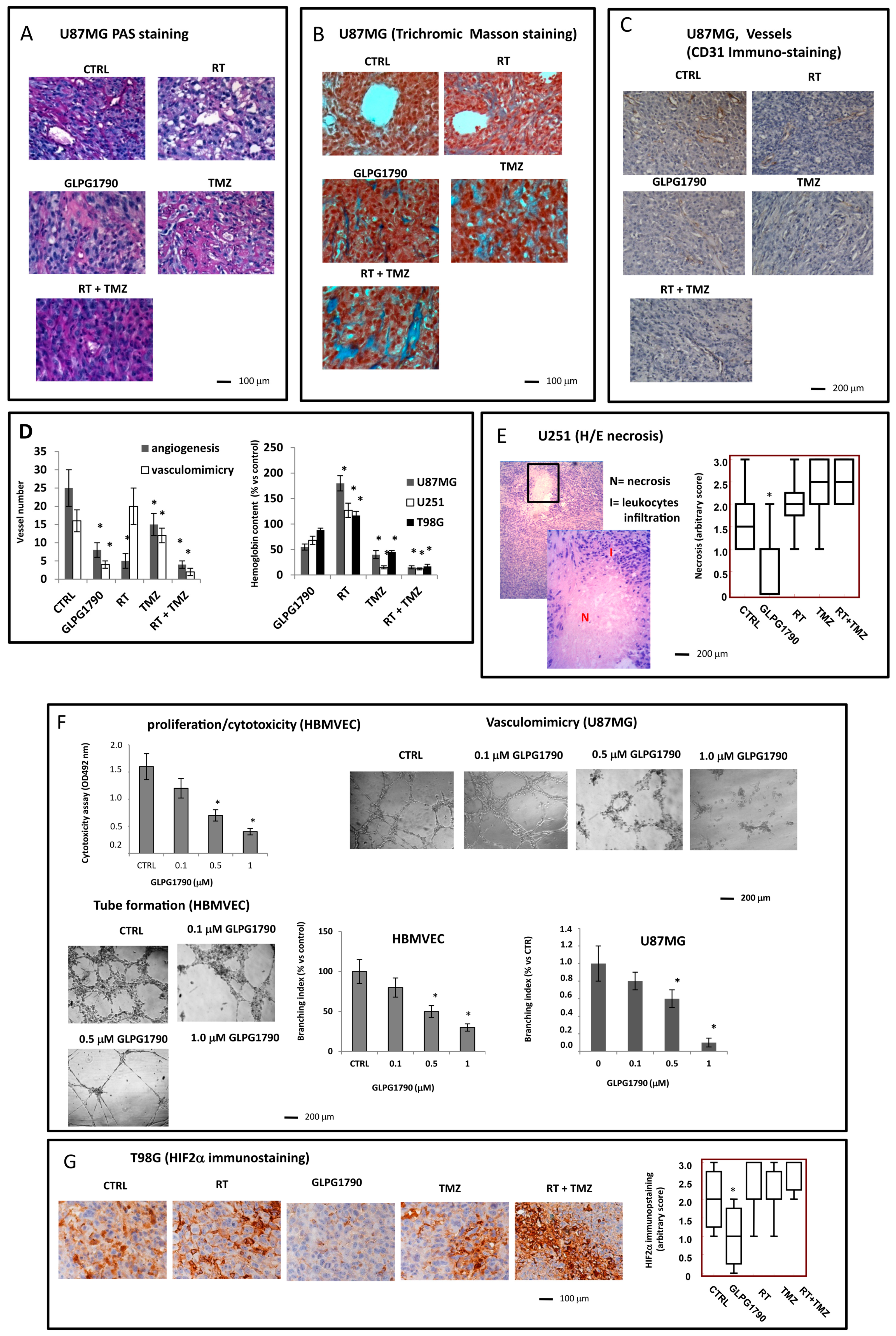 Cancers 11 00359 g005 Cancers 11 00359 g005