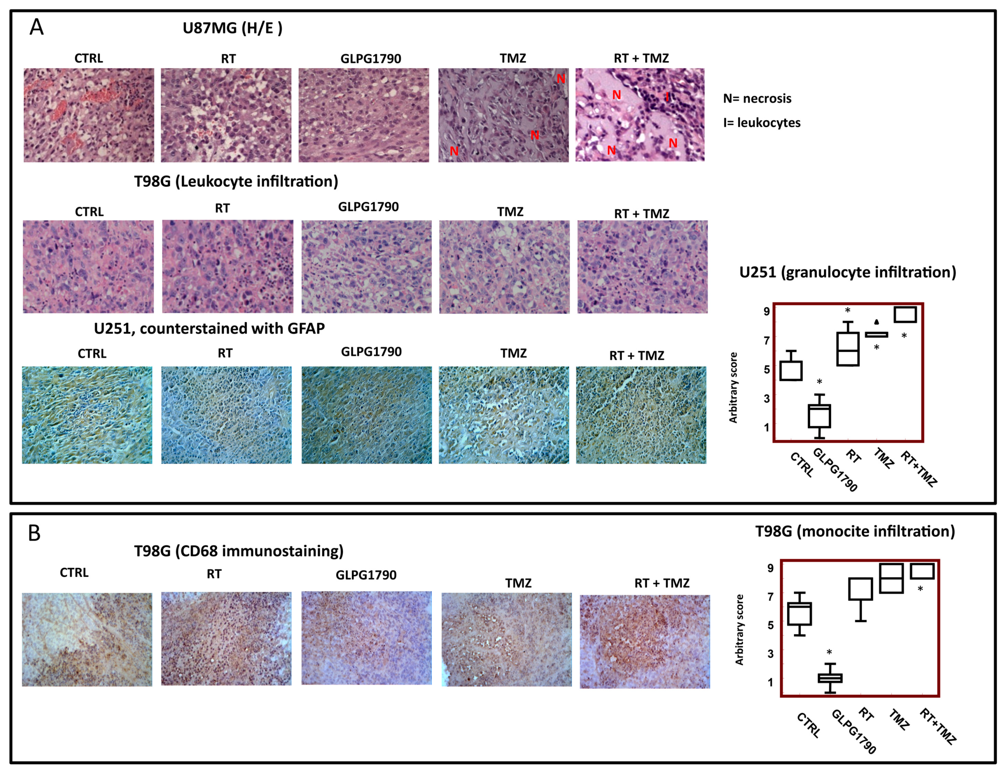 Cancers 11 00359 g006 Cancers 11 00359 g006