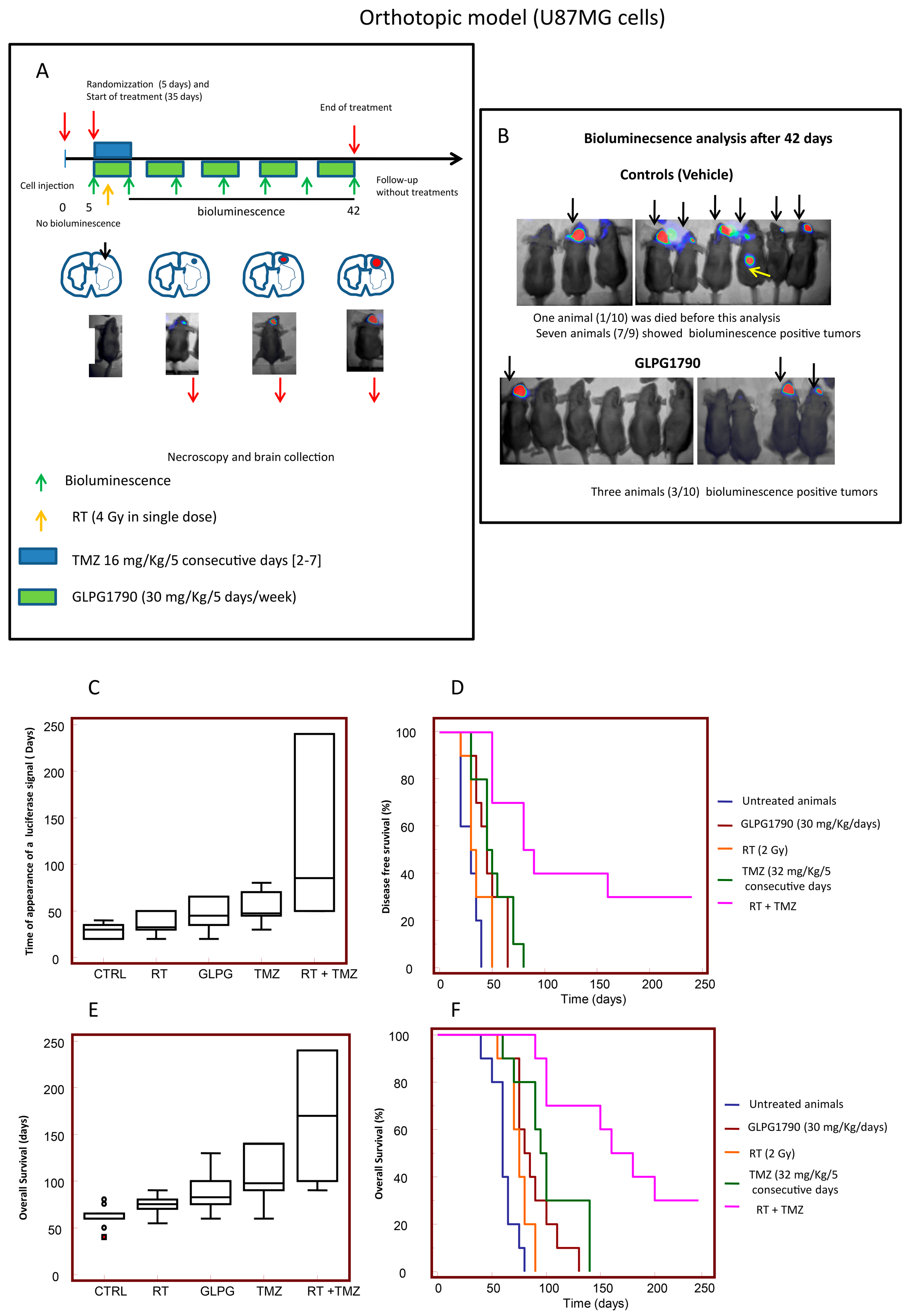 Cancers 11 00359 g007 Cancers 11 00359 g007