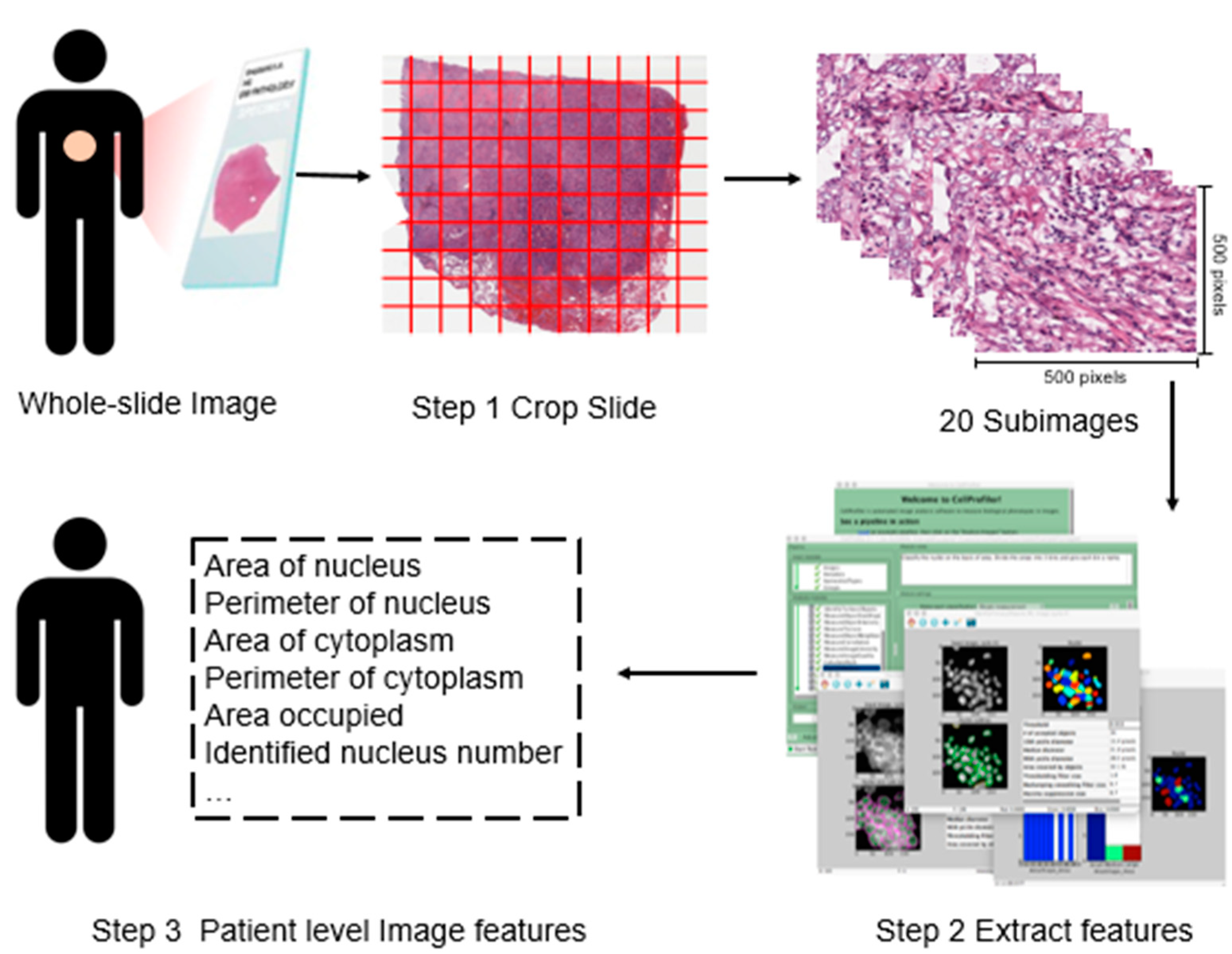 Cancers 11 00361 g001 Cancers 11 00361 g001