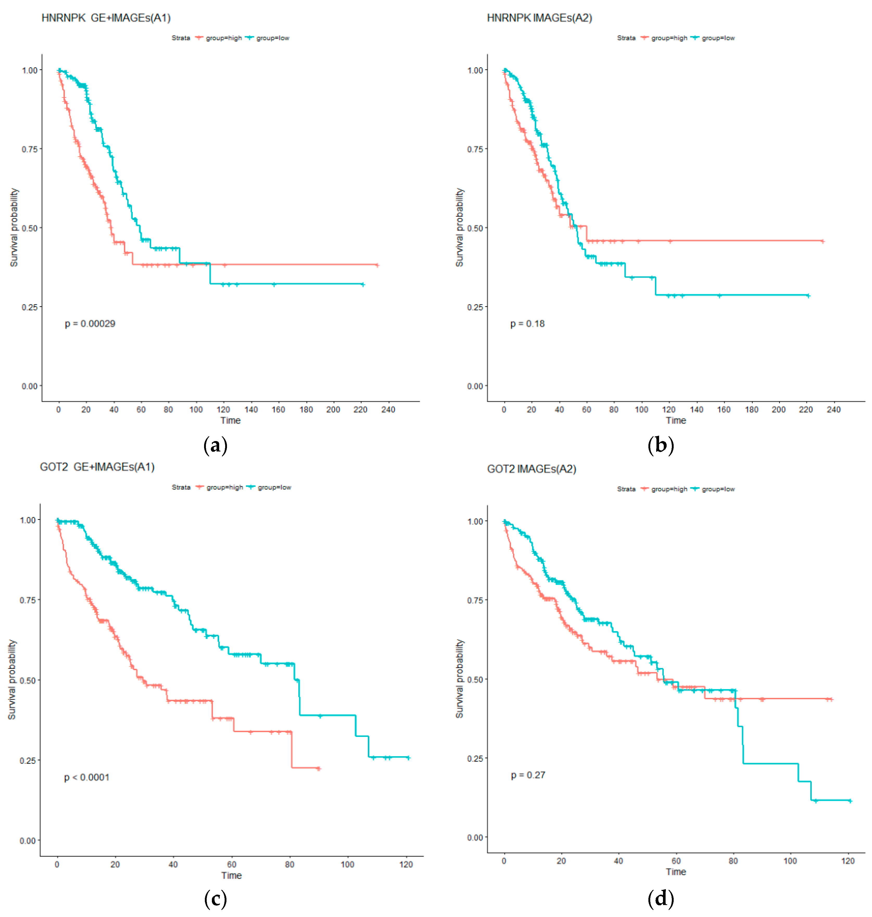 Cancers 11 00361 g003 Cancers 11 00361 g003