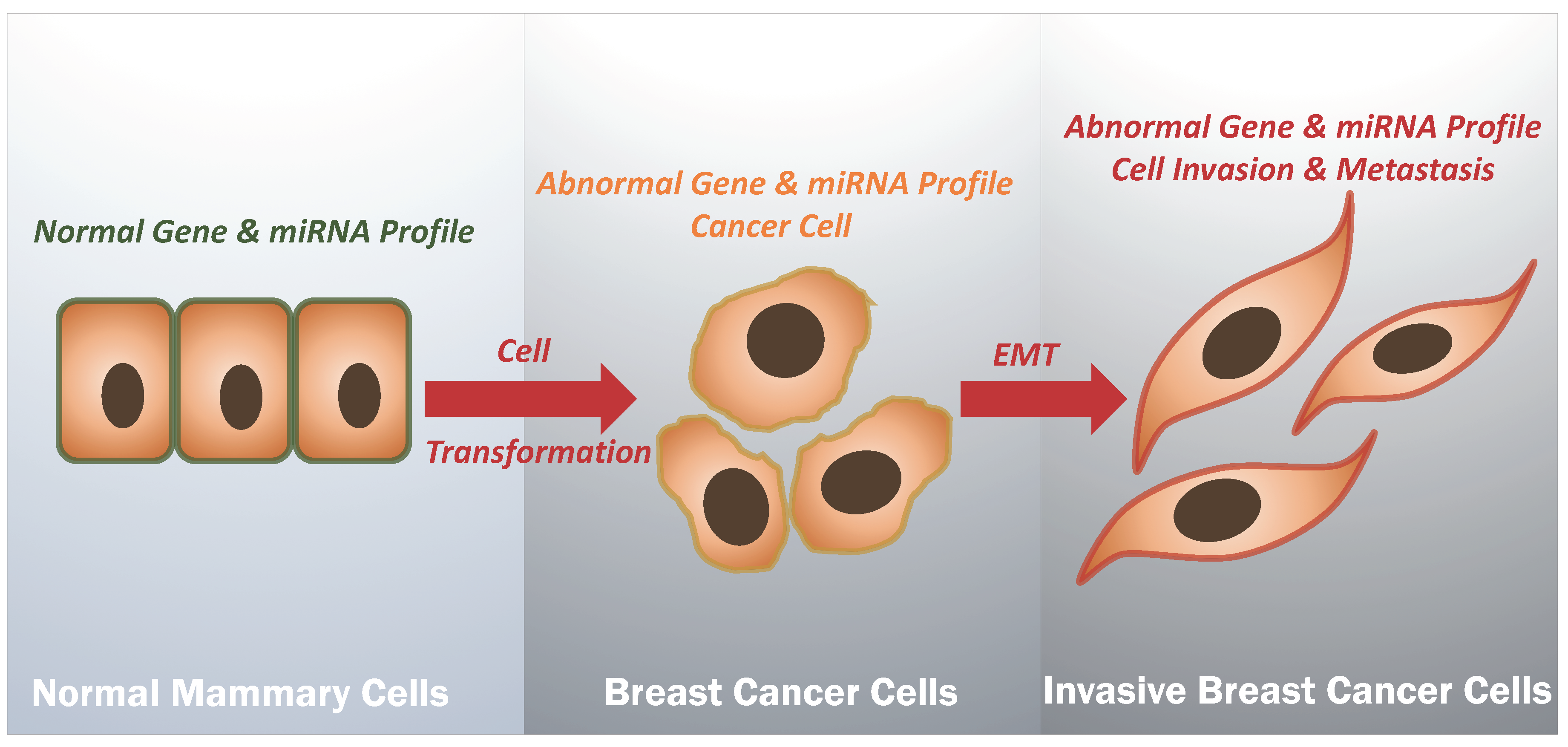 Cancers Free Full Text Triple Negative Breast Cancer Profile From 