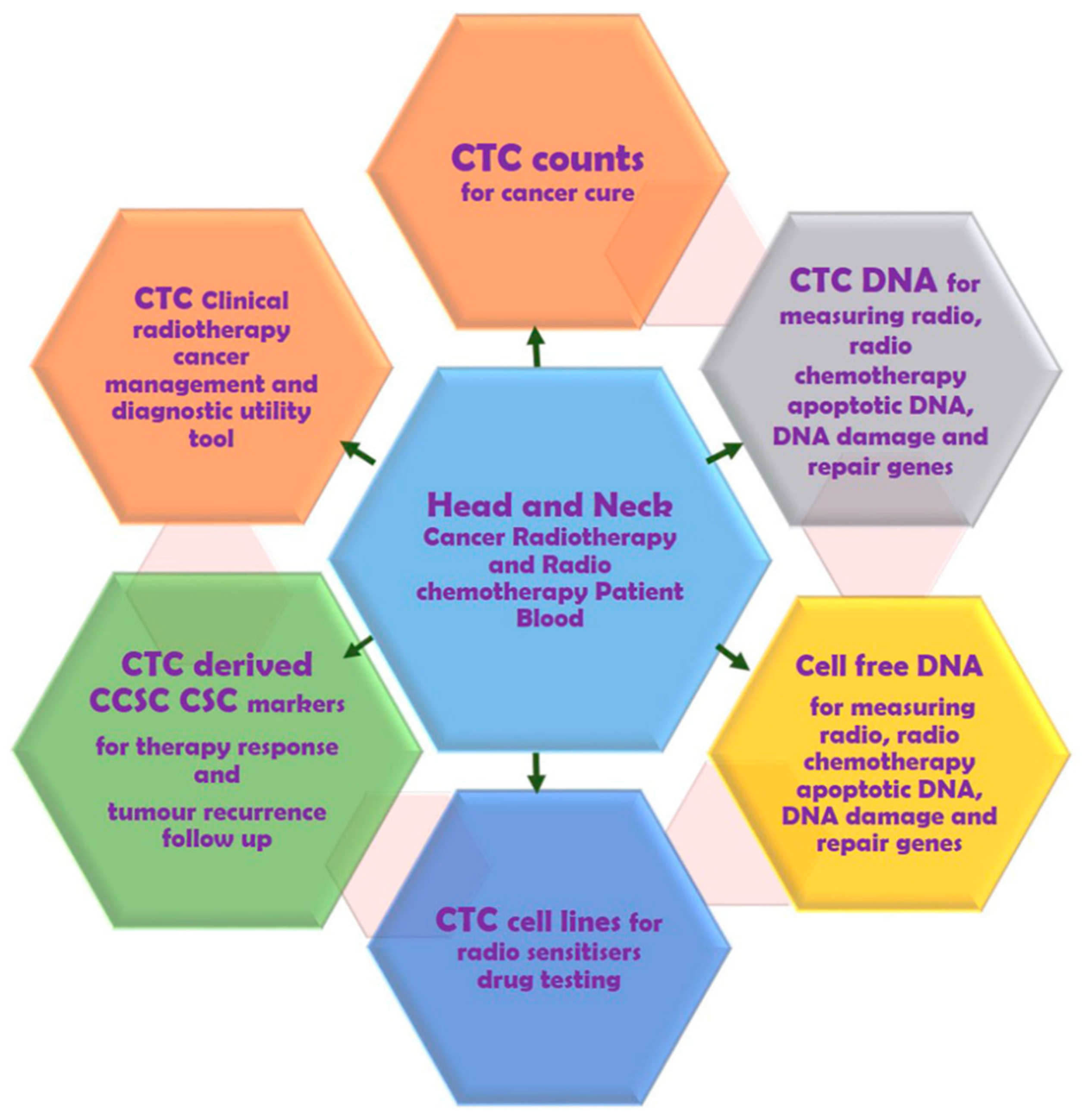 Cancers 11 00367 g003 Cancers 11 00367 g003