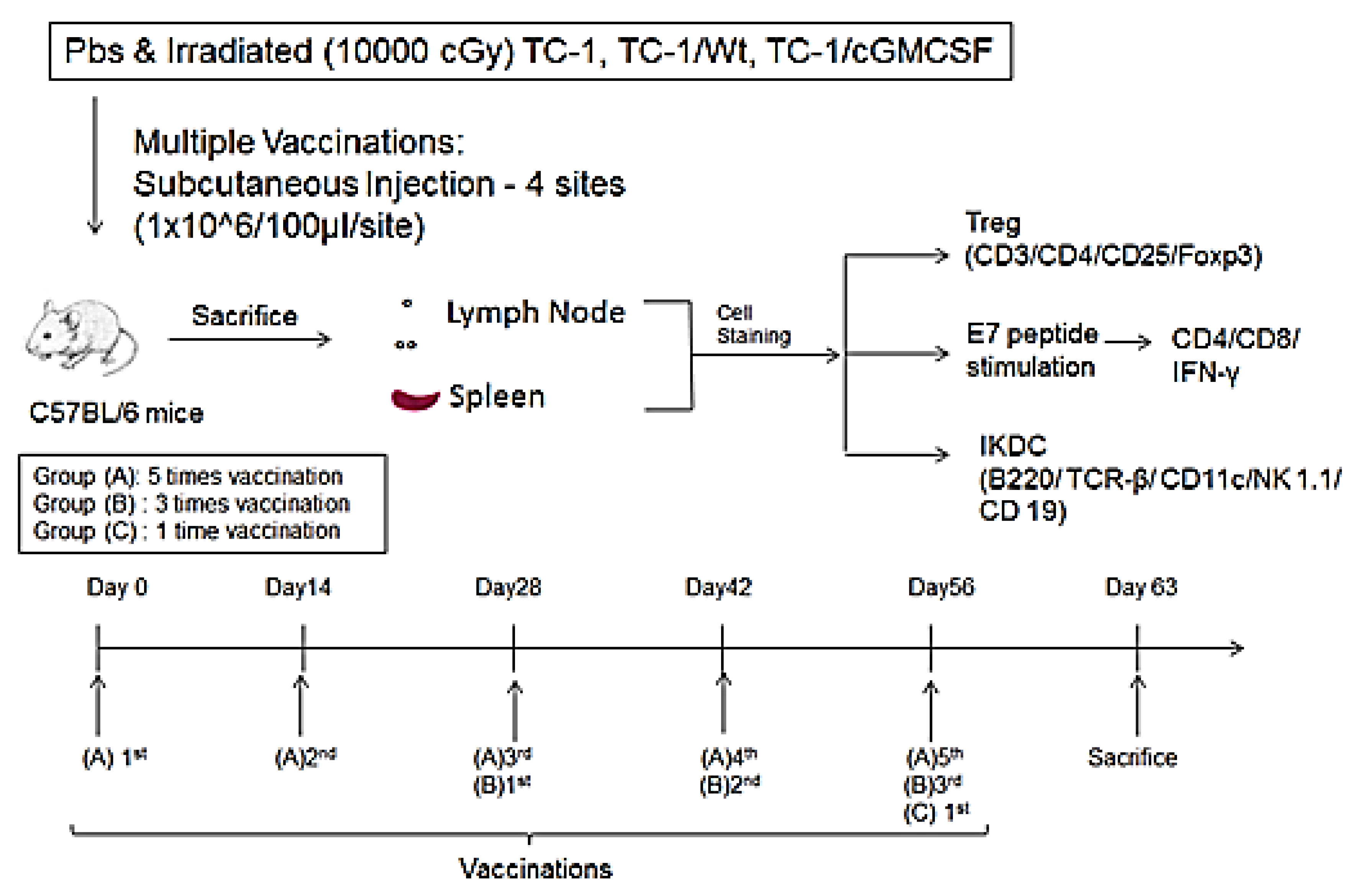 Cancers 11 00368 g0a1