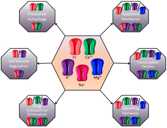 Ion Channels: New Actors Playing in Chemotherapeutic Resistance
