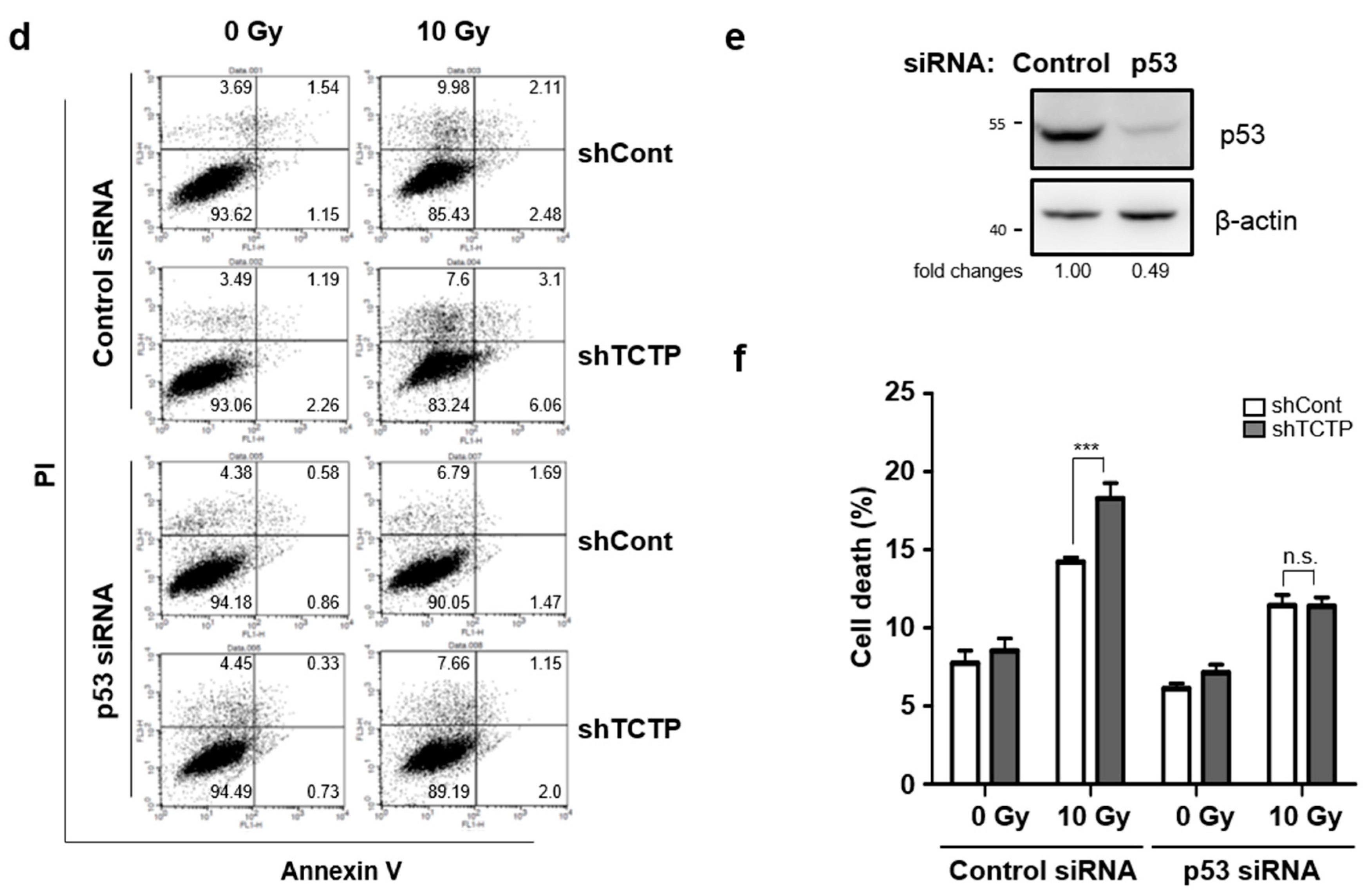 Cancers 11 00386 g005b Cancers 11 00386 g005b