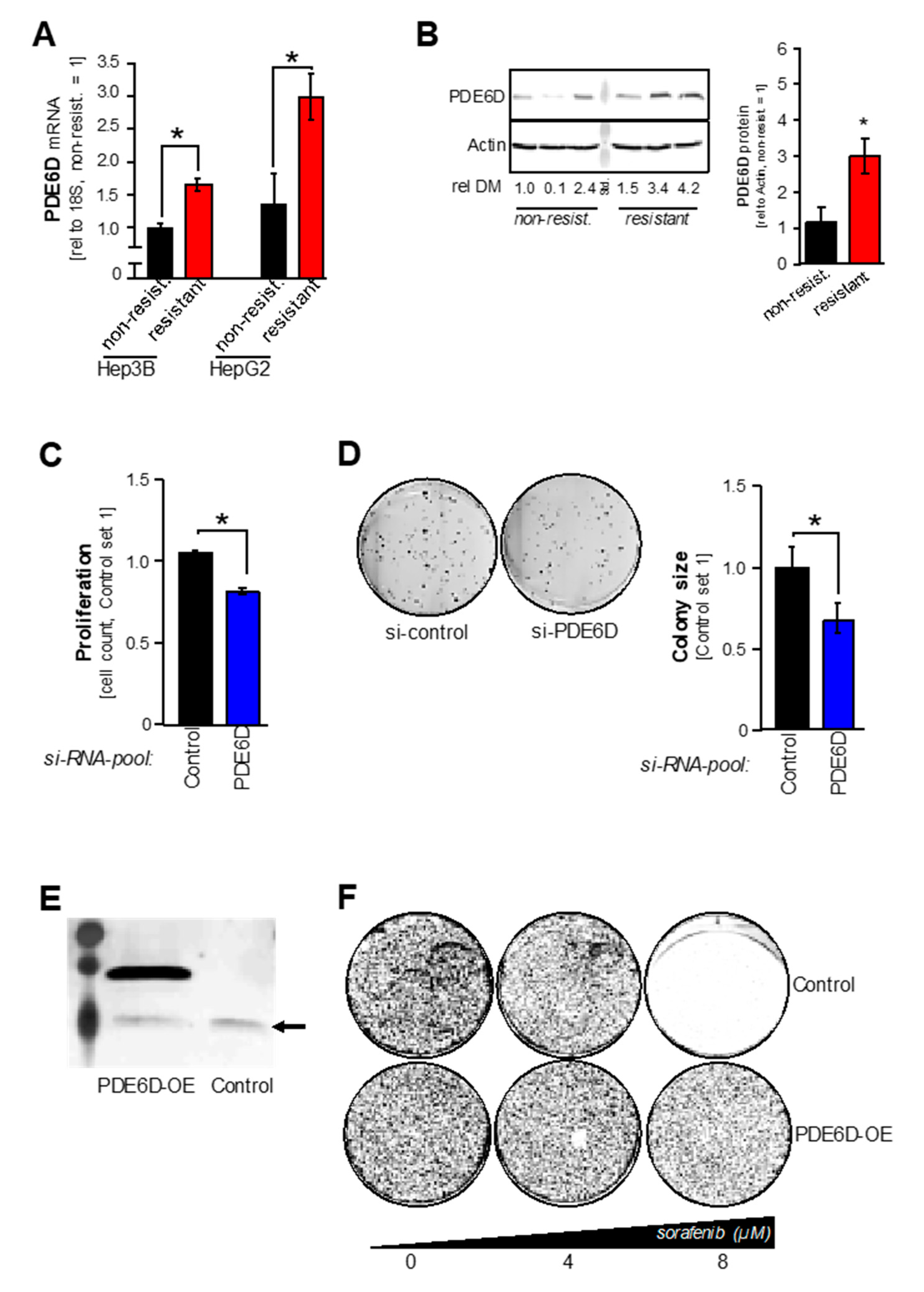 Cancers 11 00398 g004 Cancers 11 00398 g004