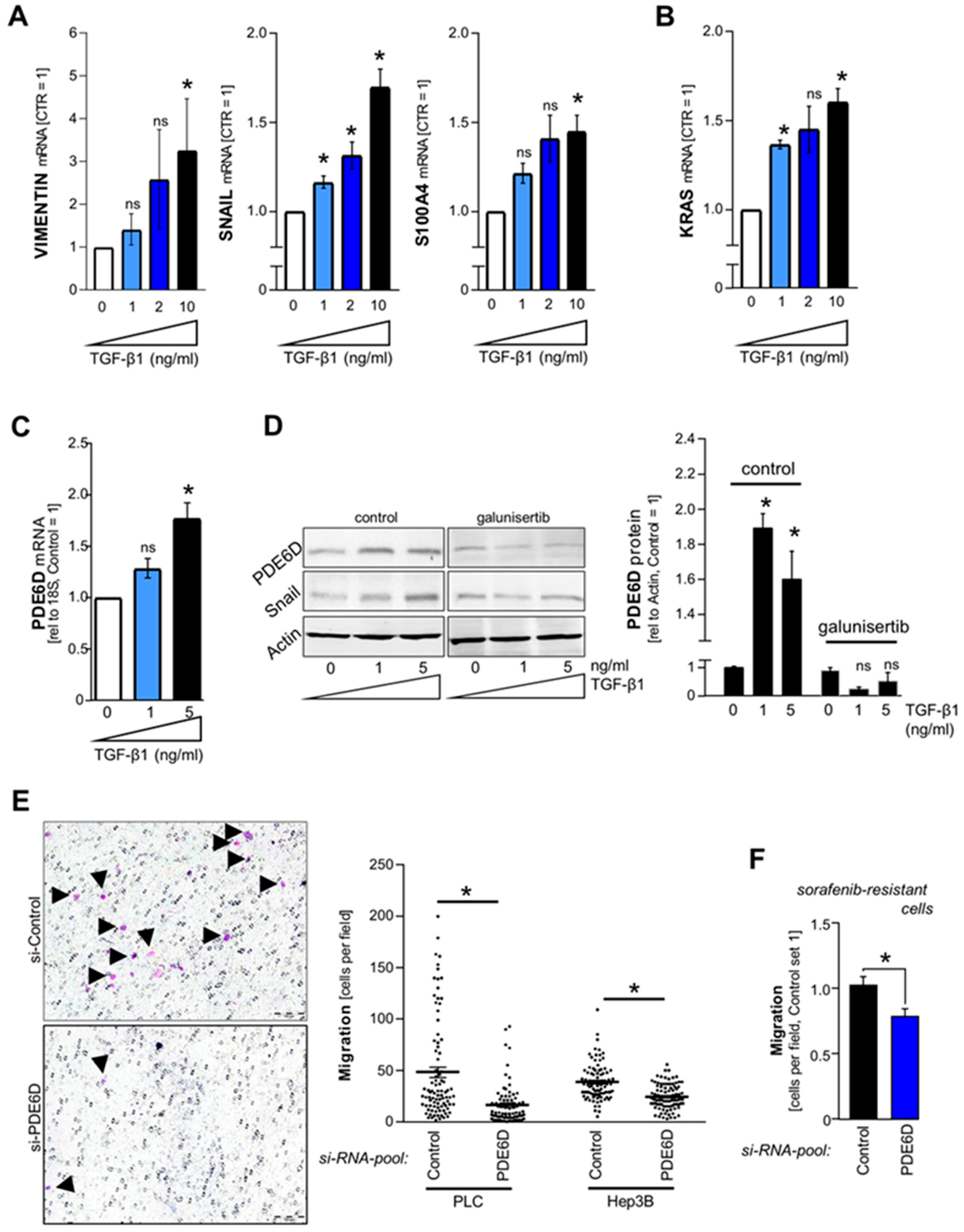 Cancers 11 00398 g005 Cancers 11 00398 g005