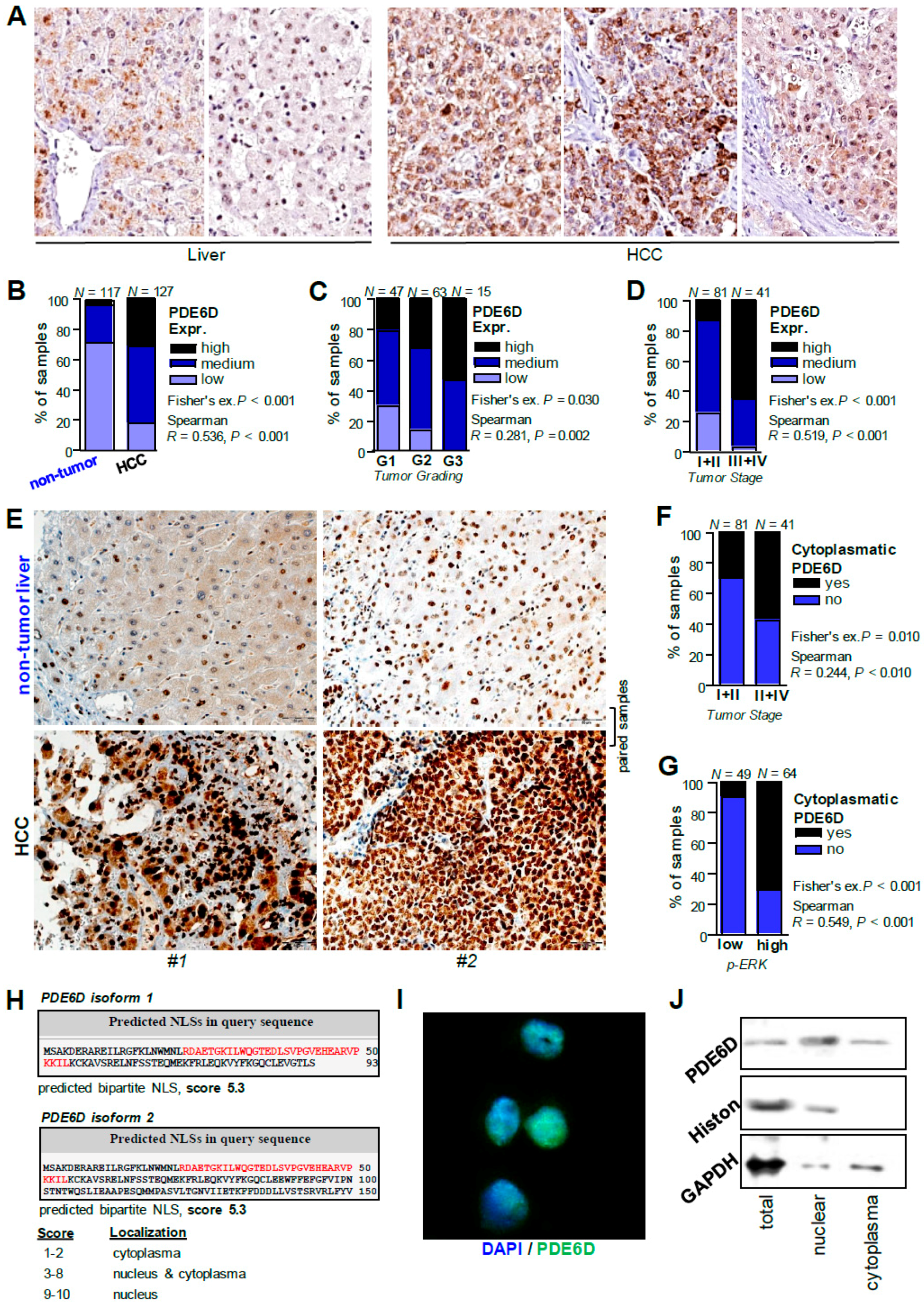 Cancers 11 00398 g006 Cancers 11 00398 g006