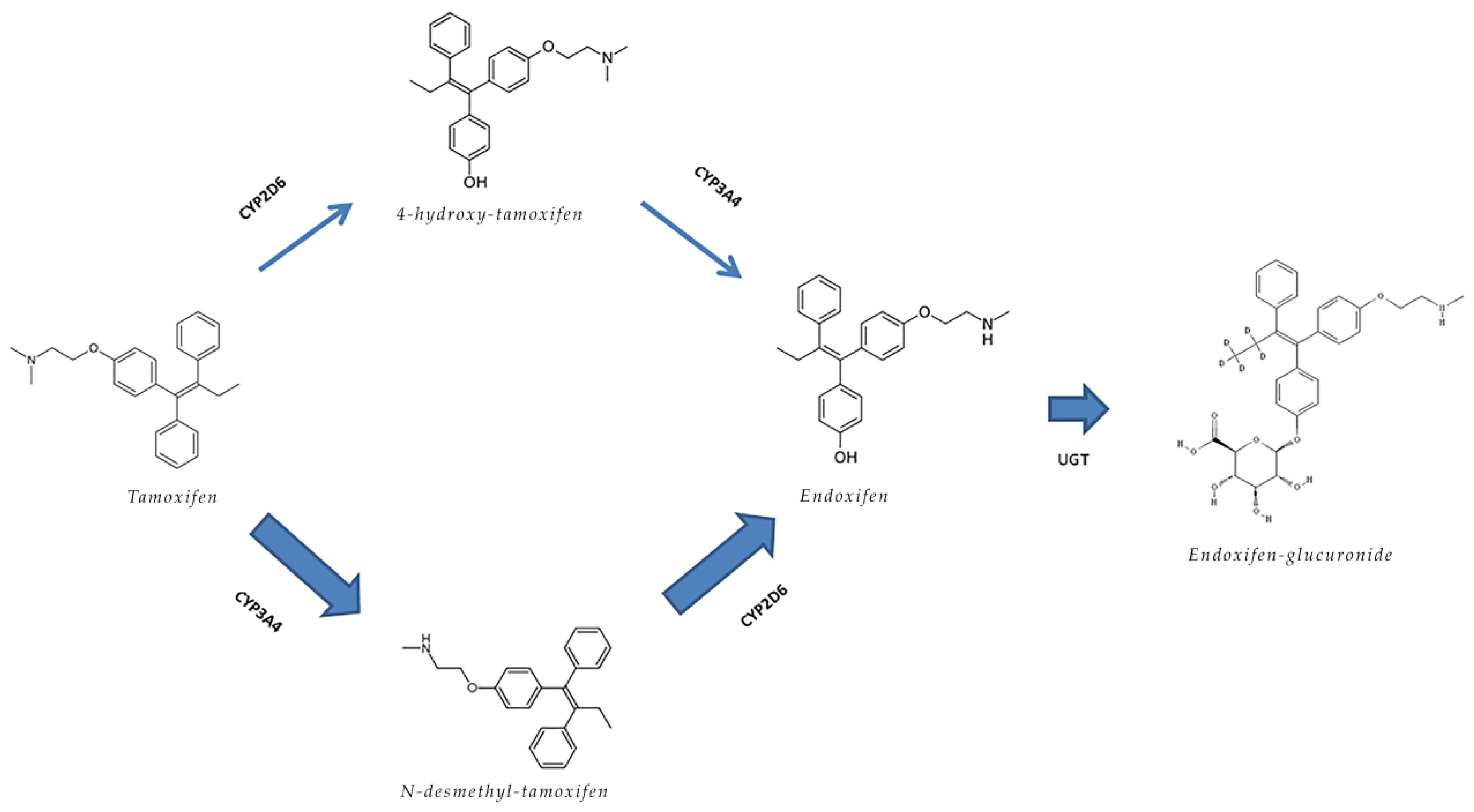 Le conseguenze del mancato utilizzo della parabolan ciclo quando si avvia la propria attività