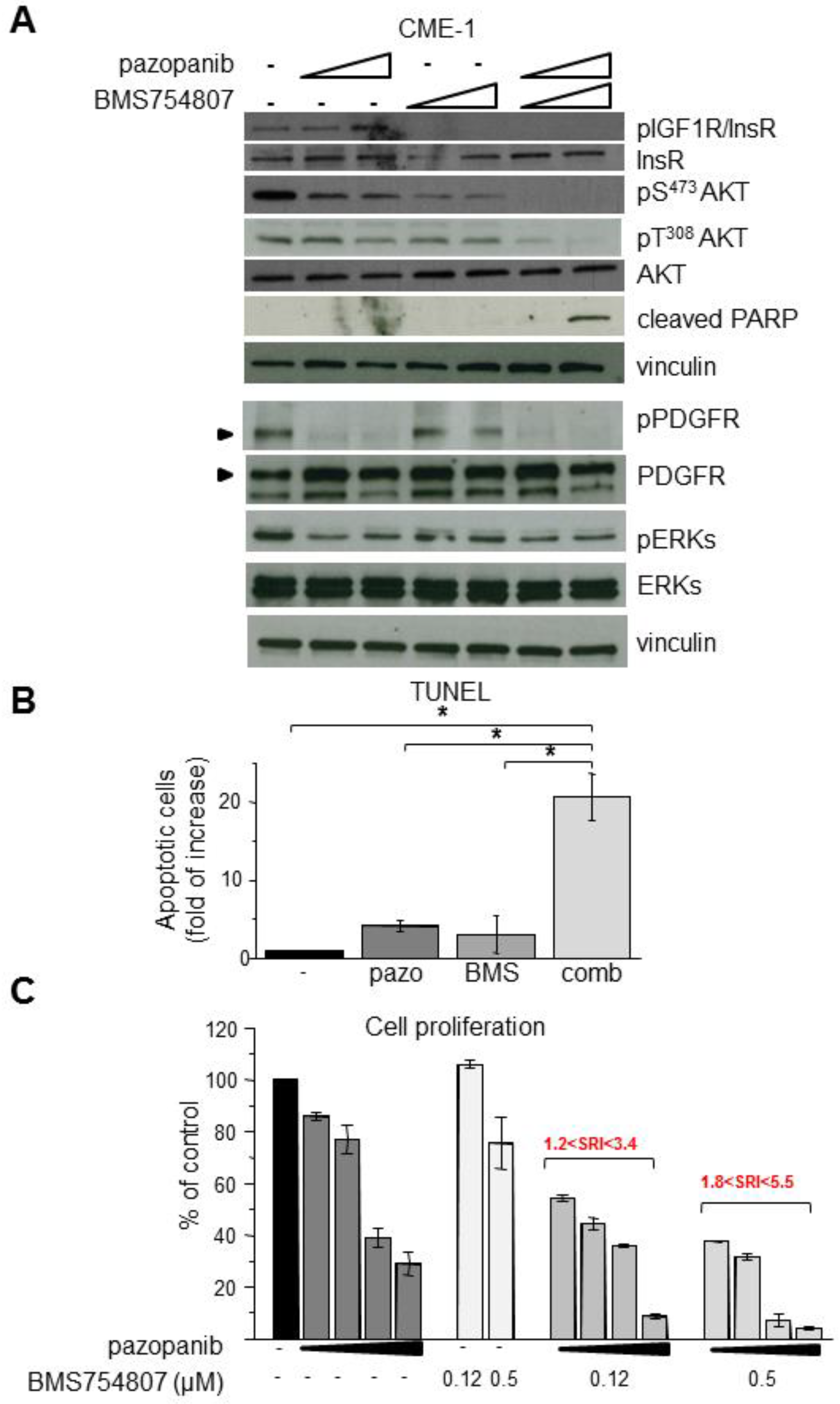 Cancers 11 00408 g003 Cancers 11 00408 g003
