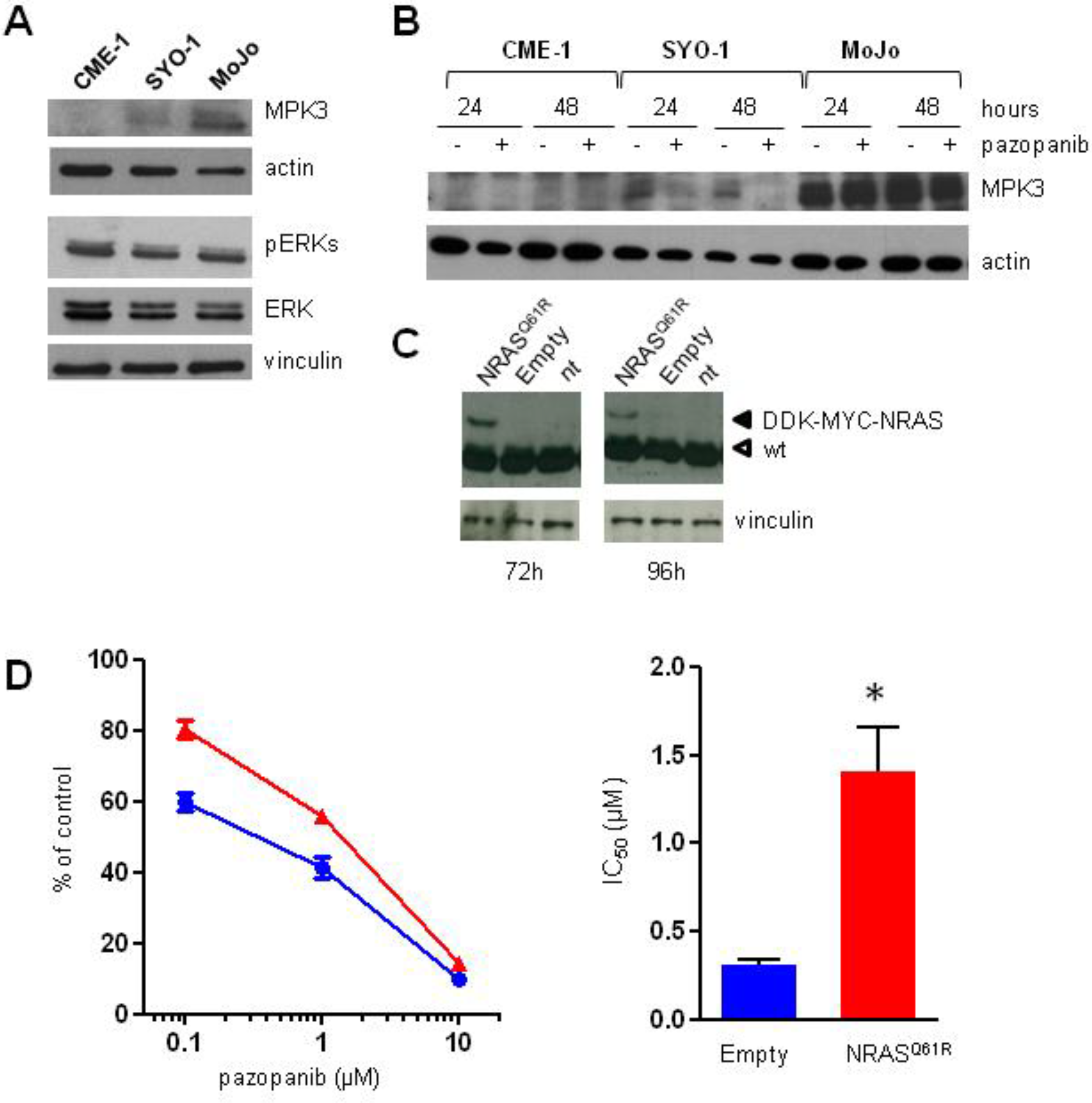 Cancers 11 00408 g004 Cancers 11 00408 g004
