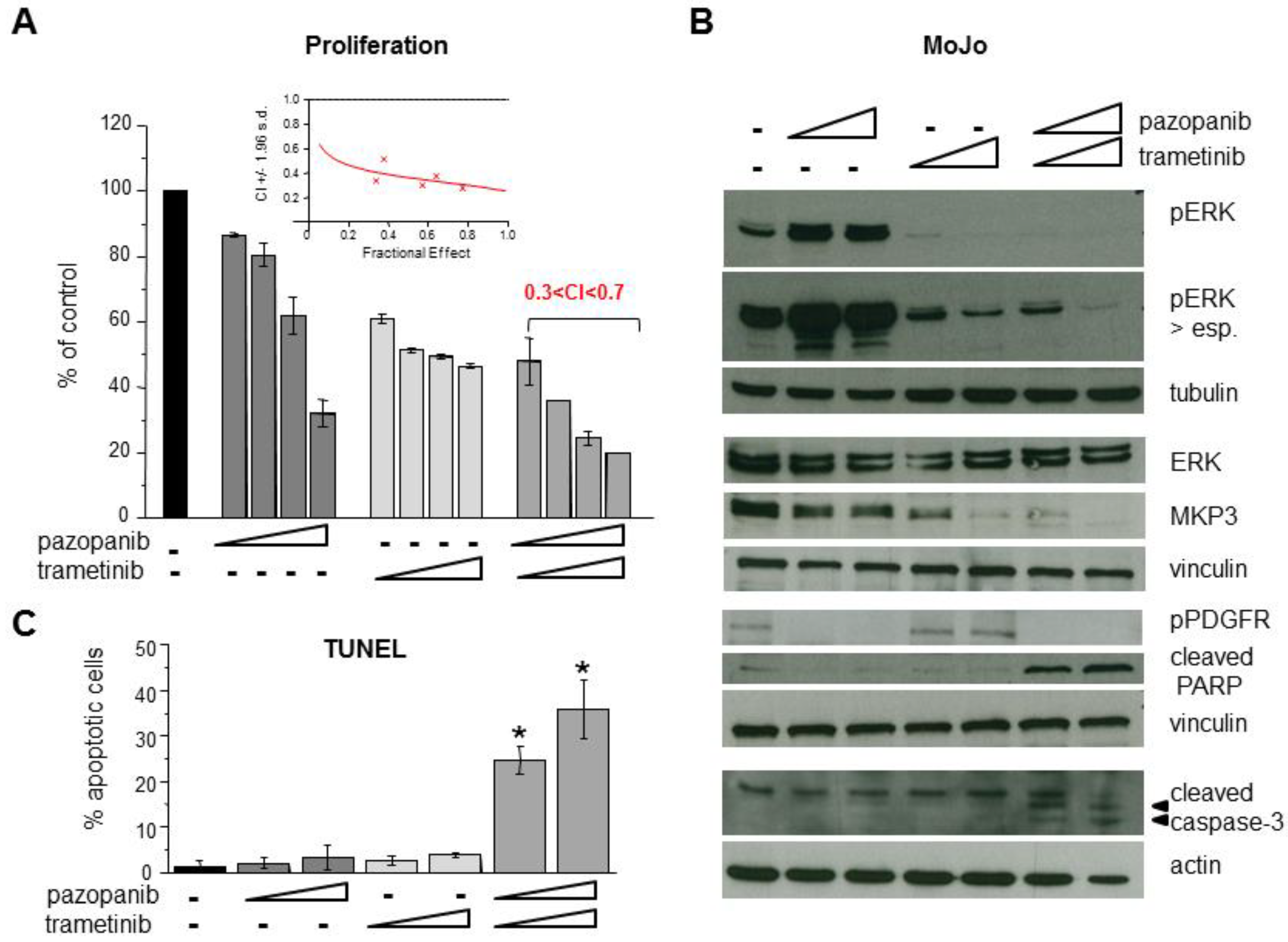 Cancers 11 00408 g005 Cancers 11 00408 g005