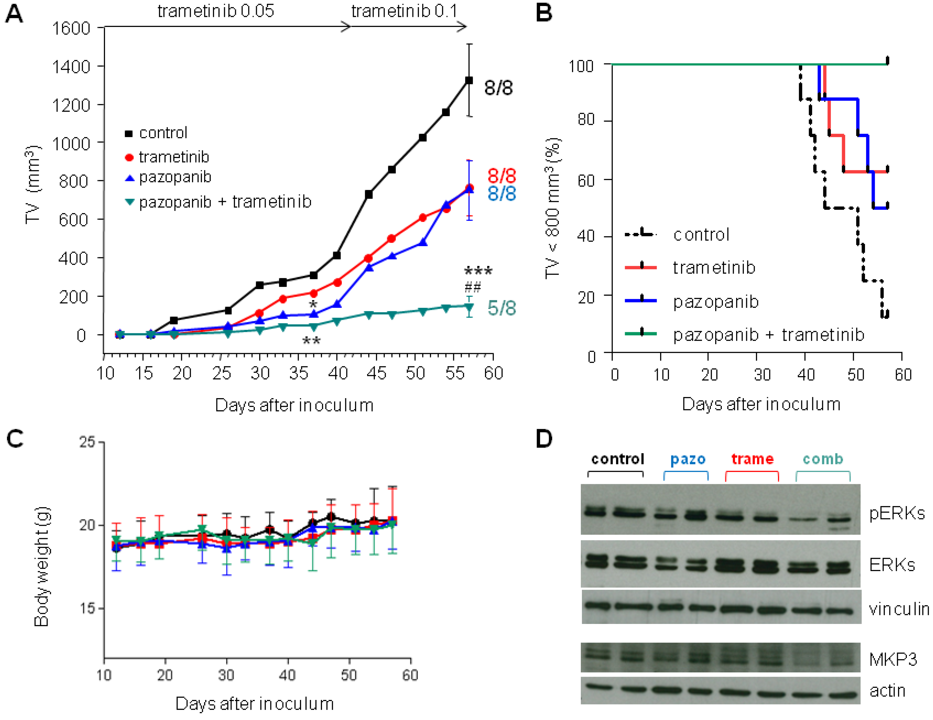Cancers 11 00408 g006 Cancers 11 00408 g006