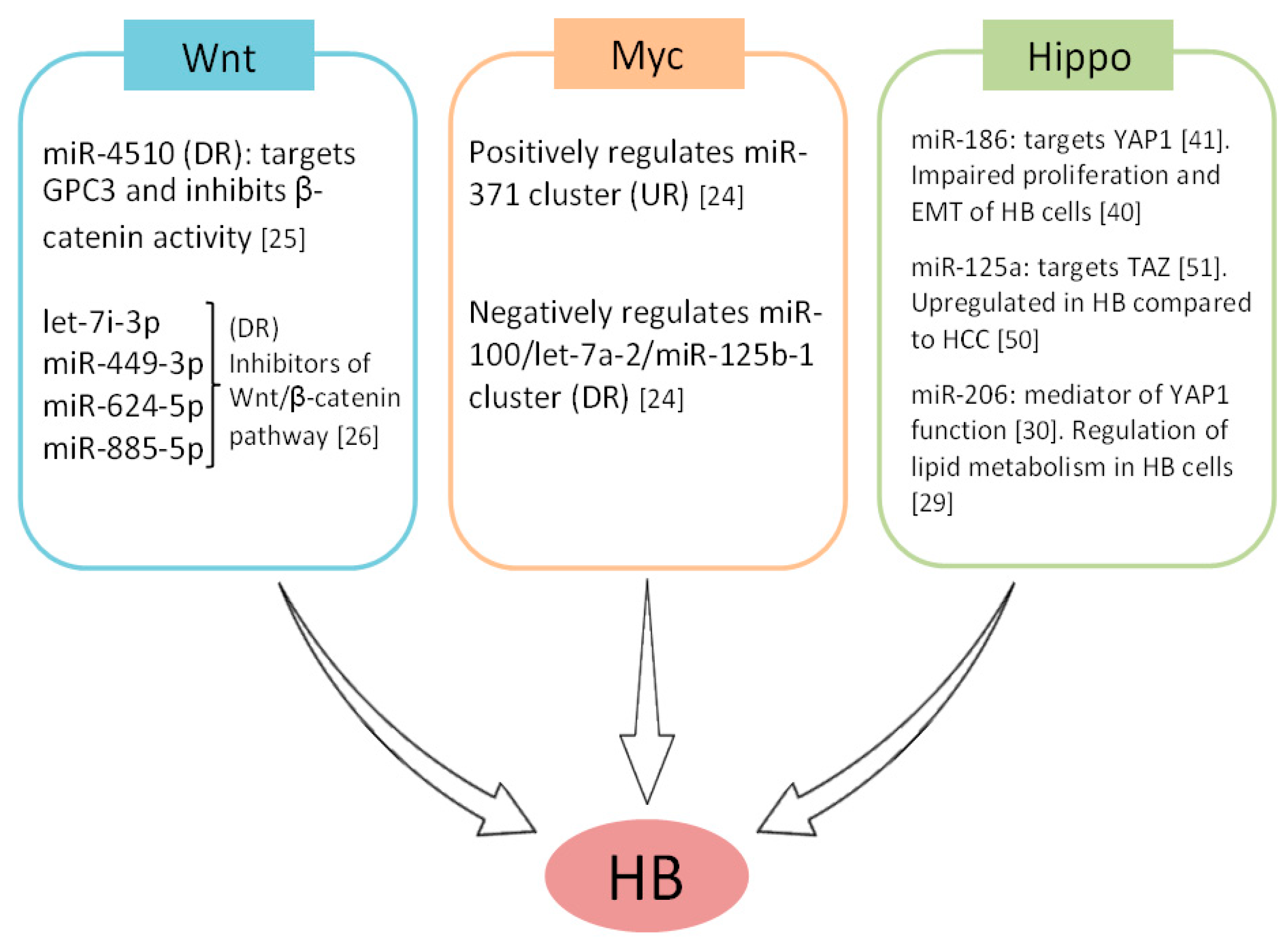 Cancers 11 00409 g002 Cancers 11 00409 g002