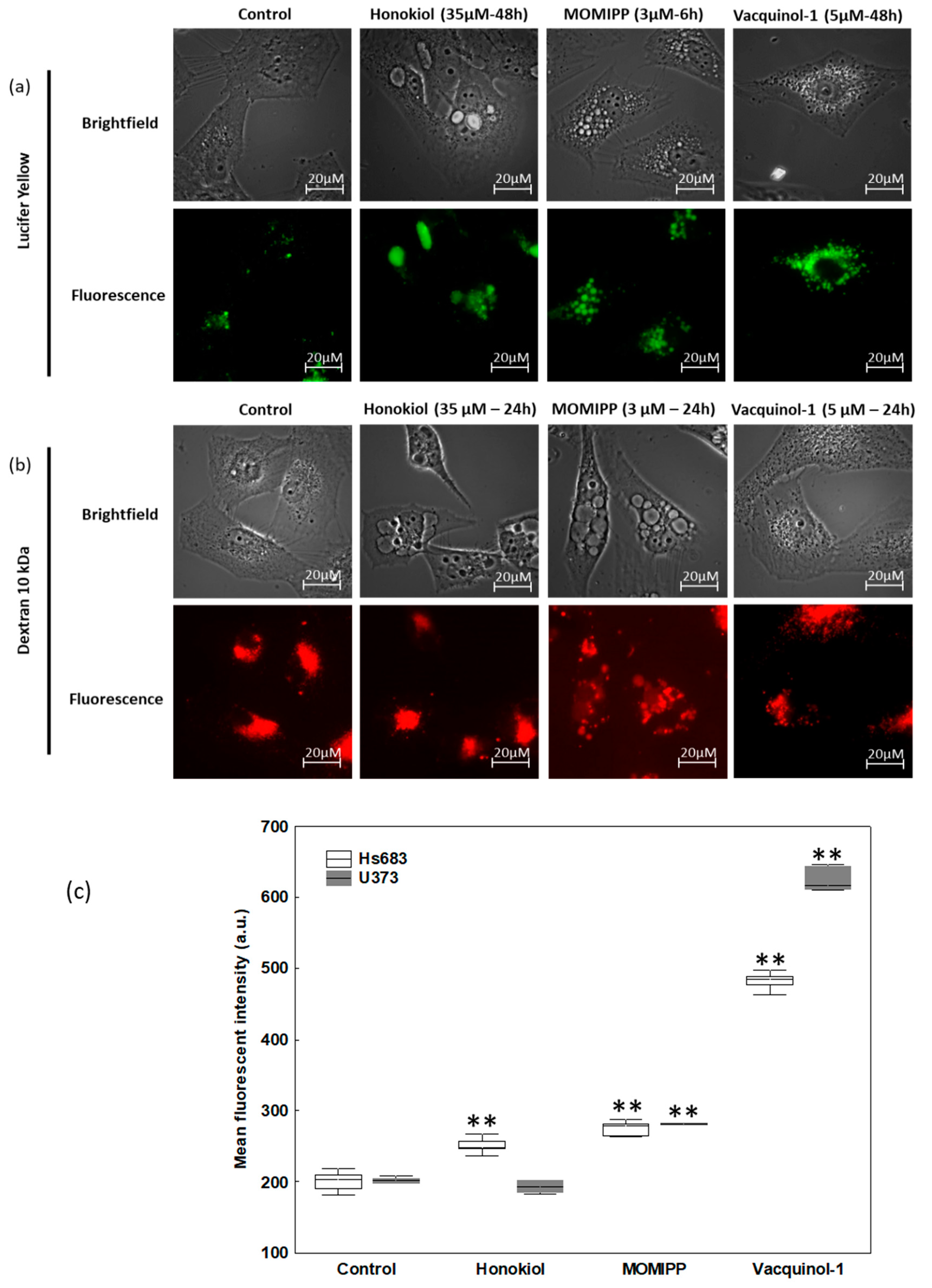 Cancers 11 00411 g007 550