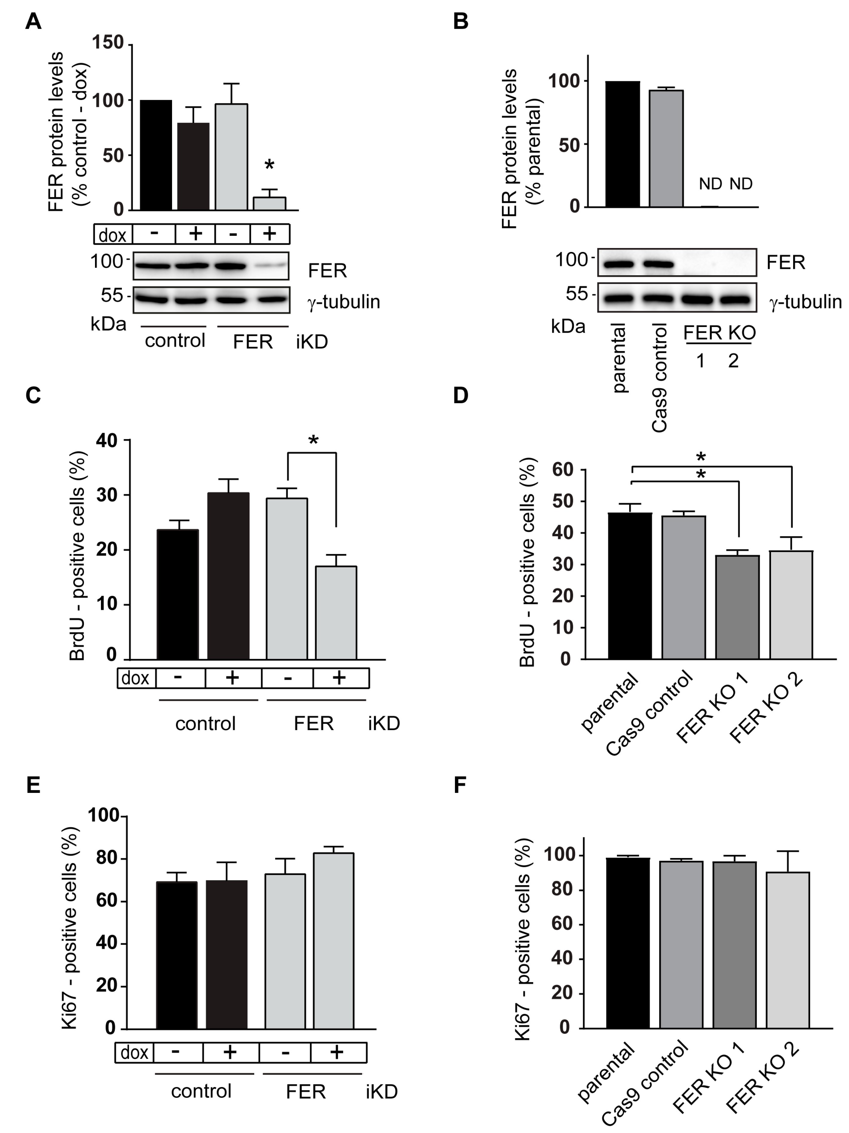Cancers 11 00419 g001 Cancers 11 00419 g001