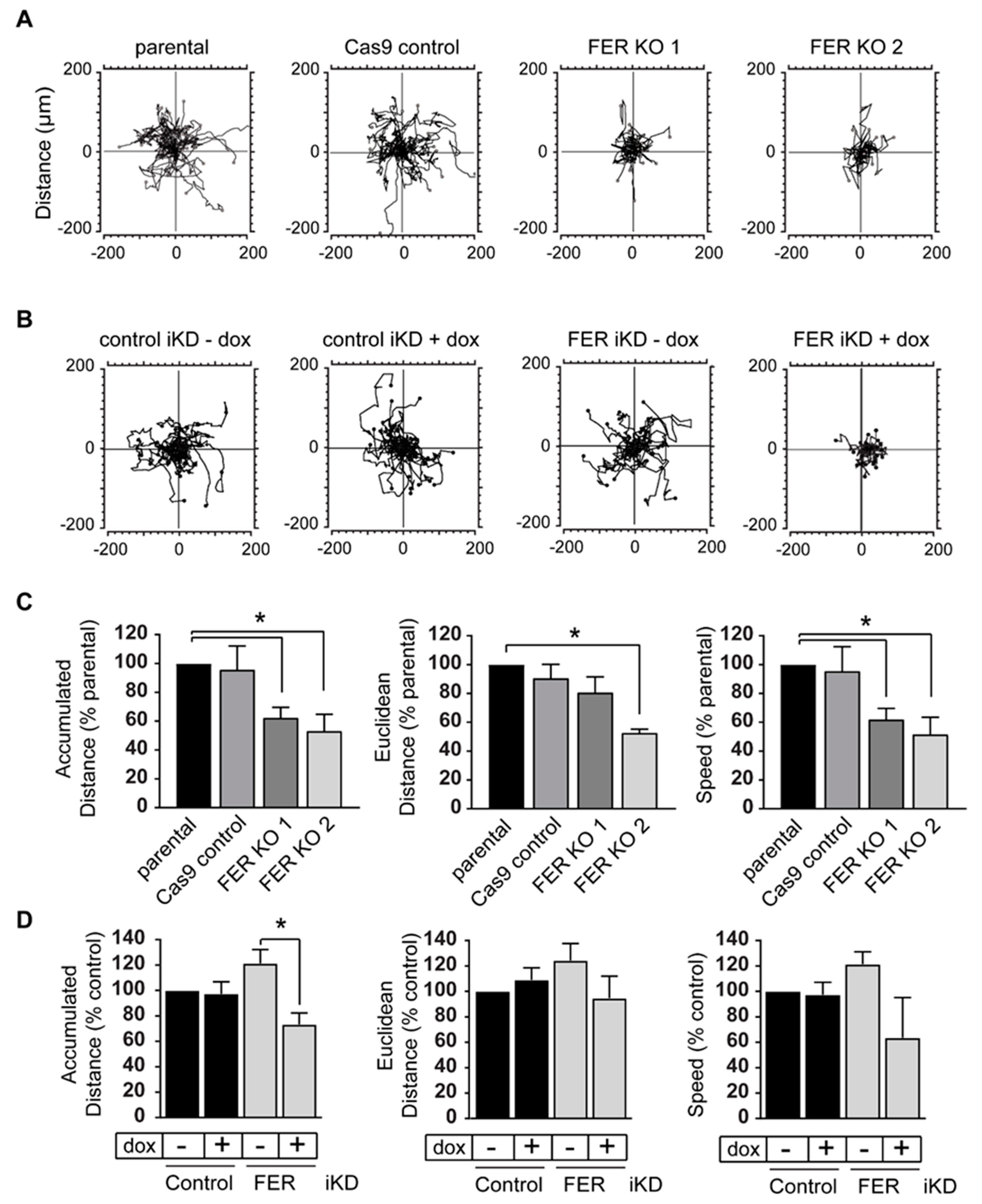 Cancers 11 00419 g002 Cancers 11 00419 g002
