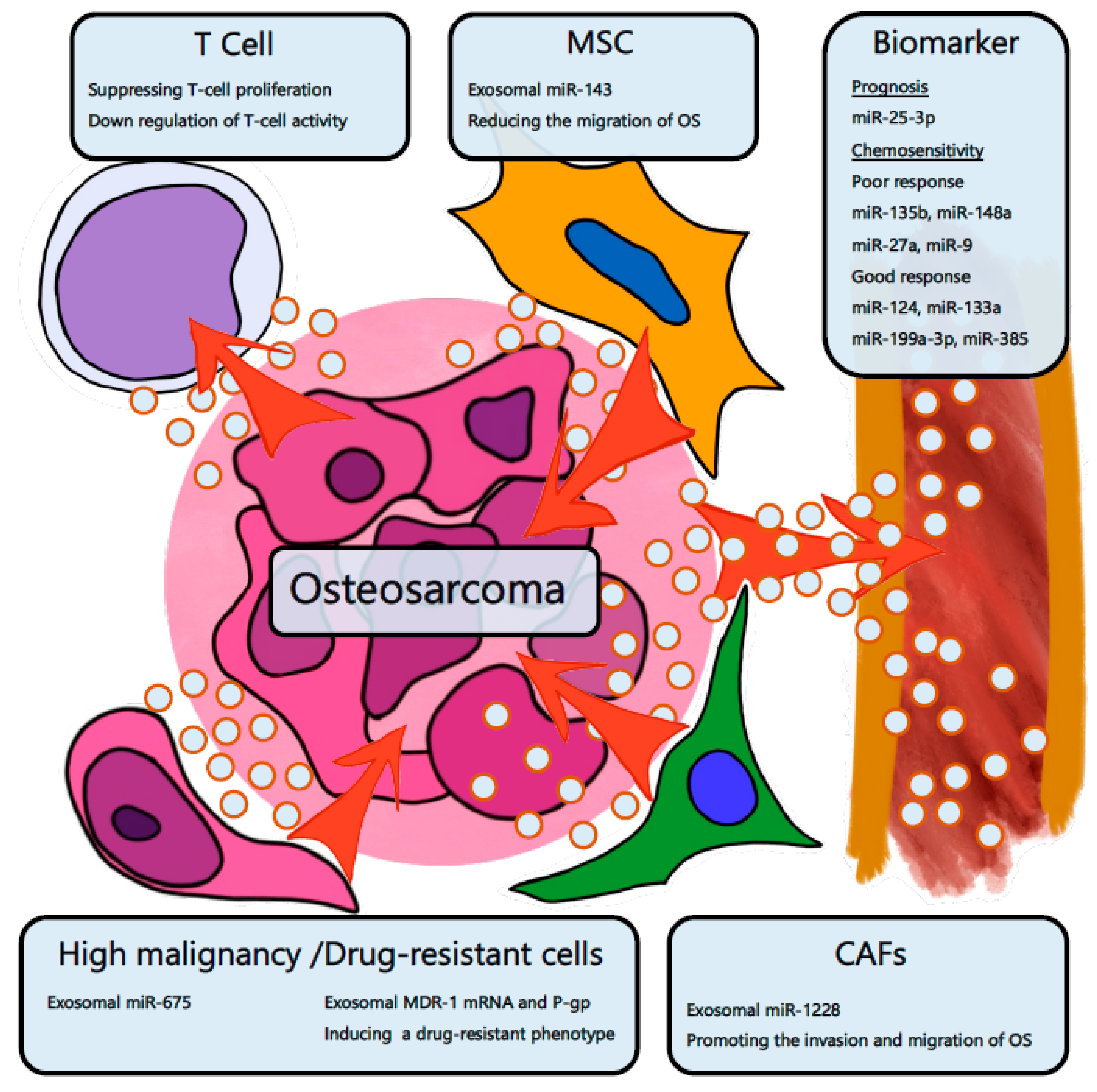 Cancers 11 00428 g003 Cancers 11 00428 g003