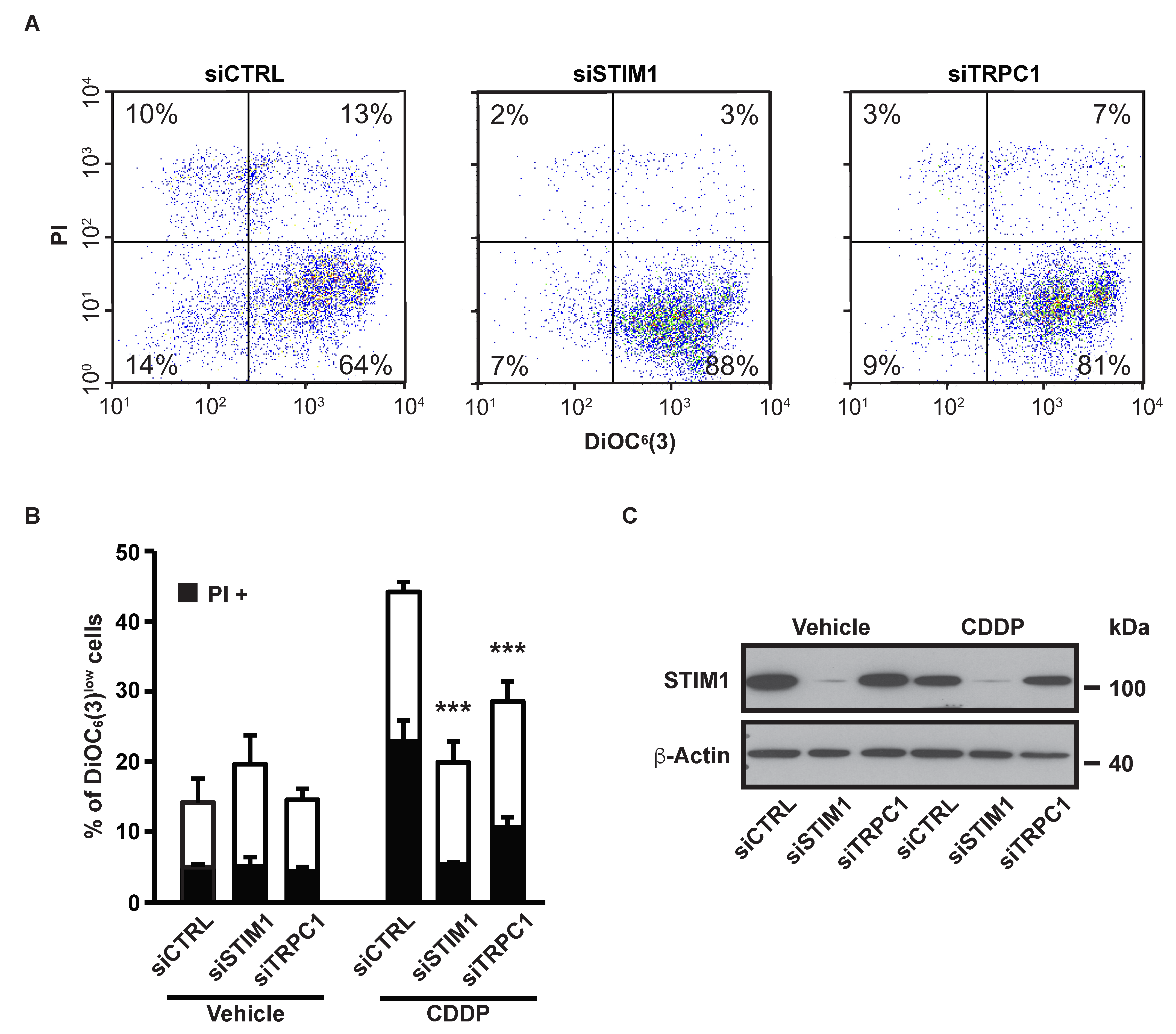 Cancers 11 00430 g002 Cancers 11 00430 g002