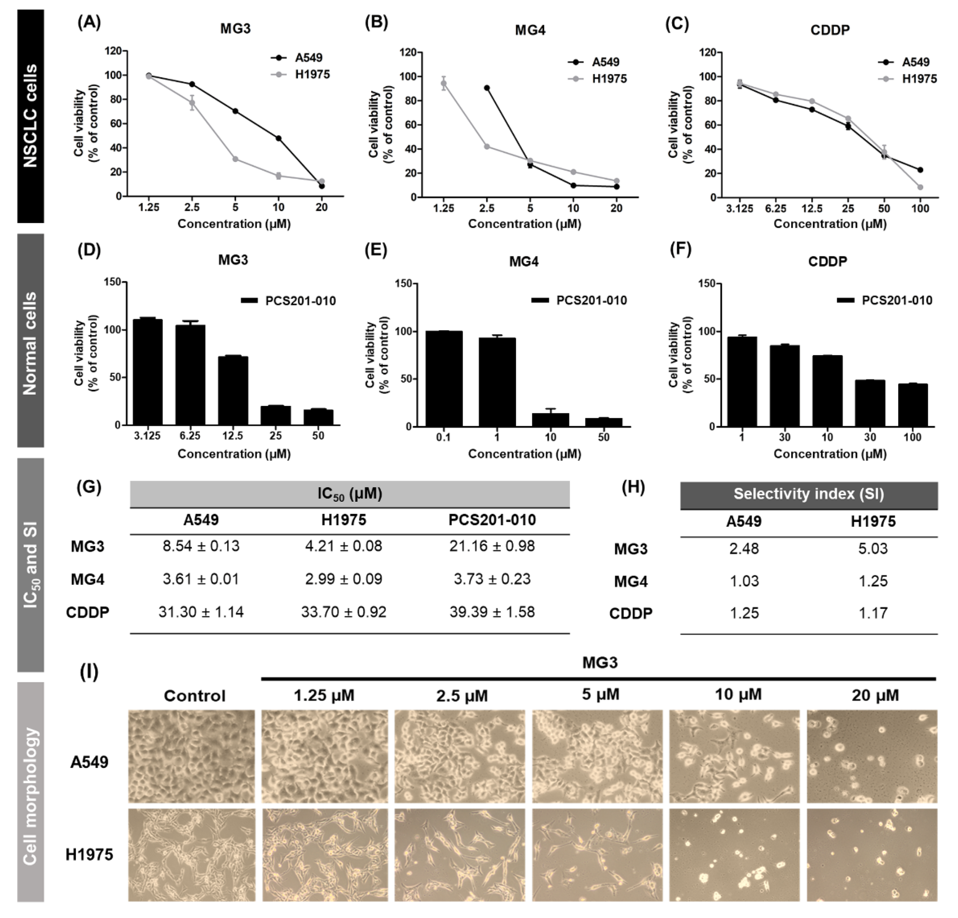 Cancers 11 00437 g002 Cancers 11 00437 g002