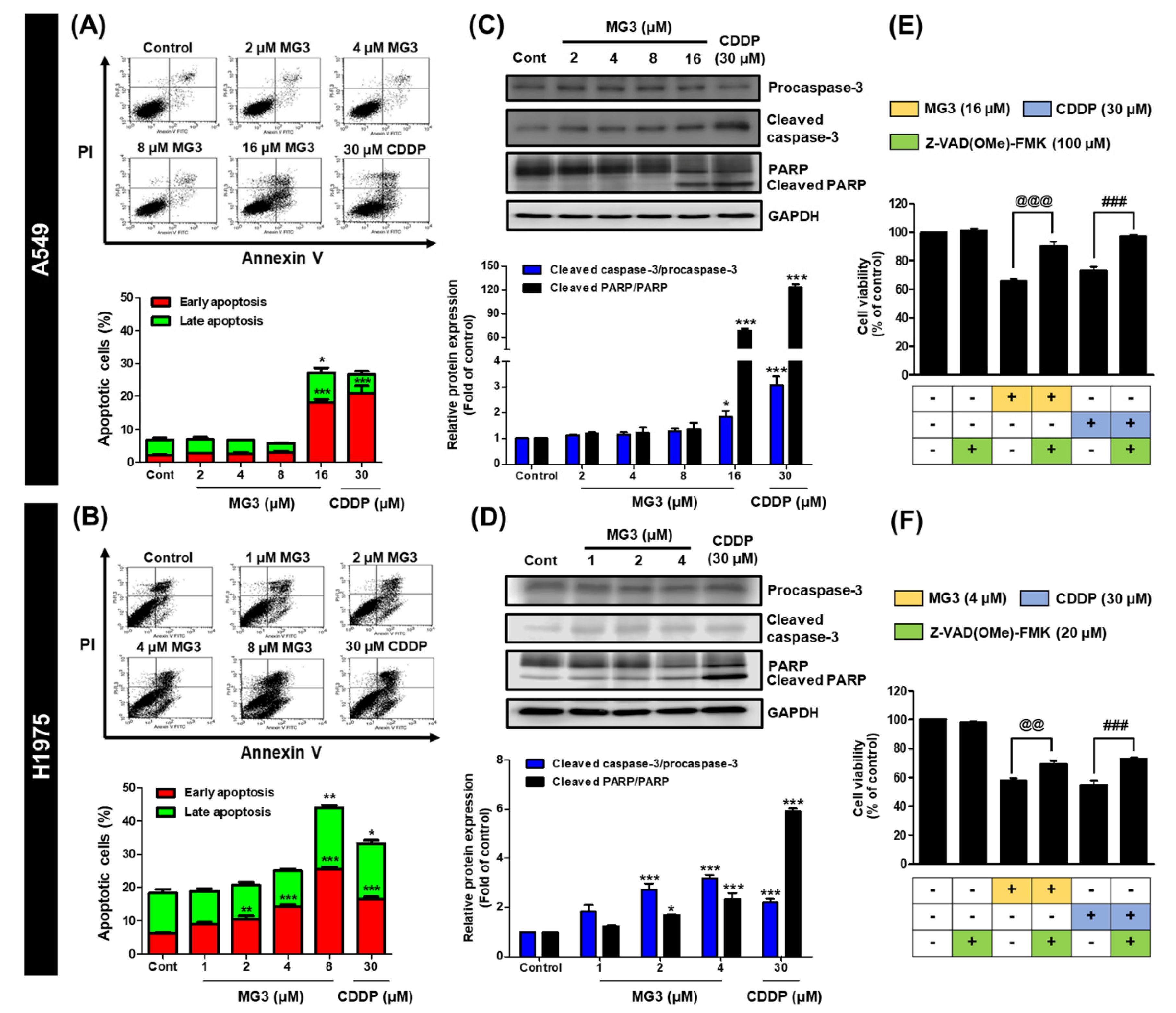 Cancers 11 00437 g003 Cancers 11 00437 g003