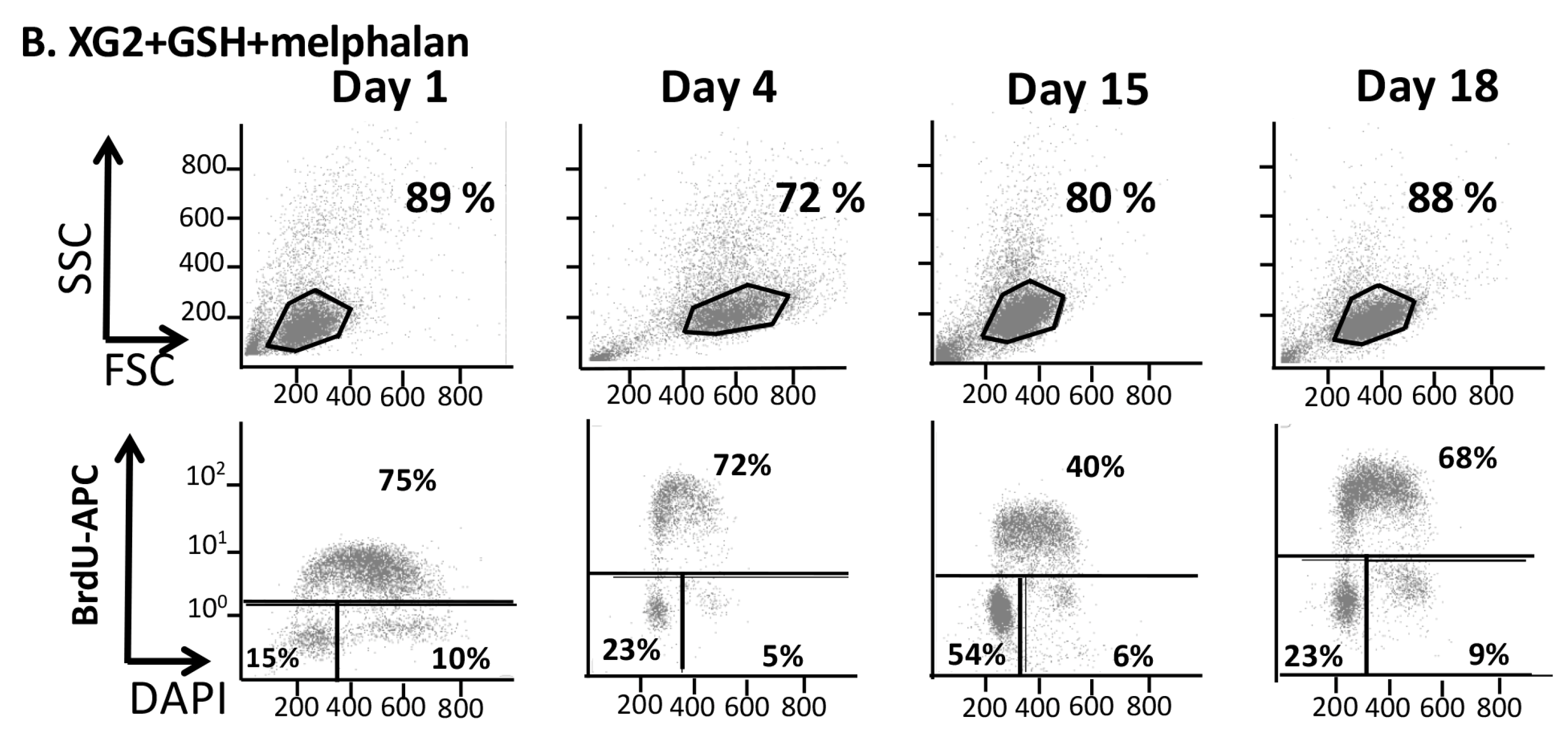 Cancers 11 00439 g003b Cancers 11 00439 g003b