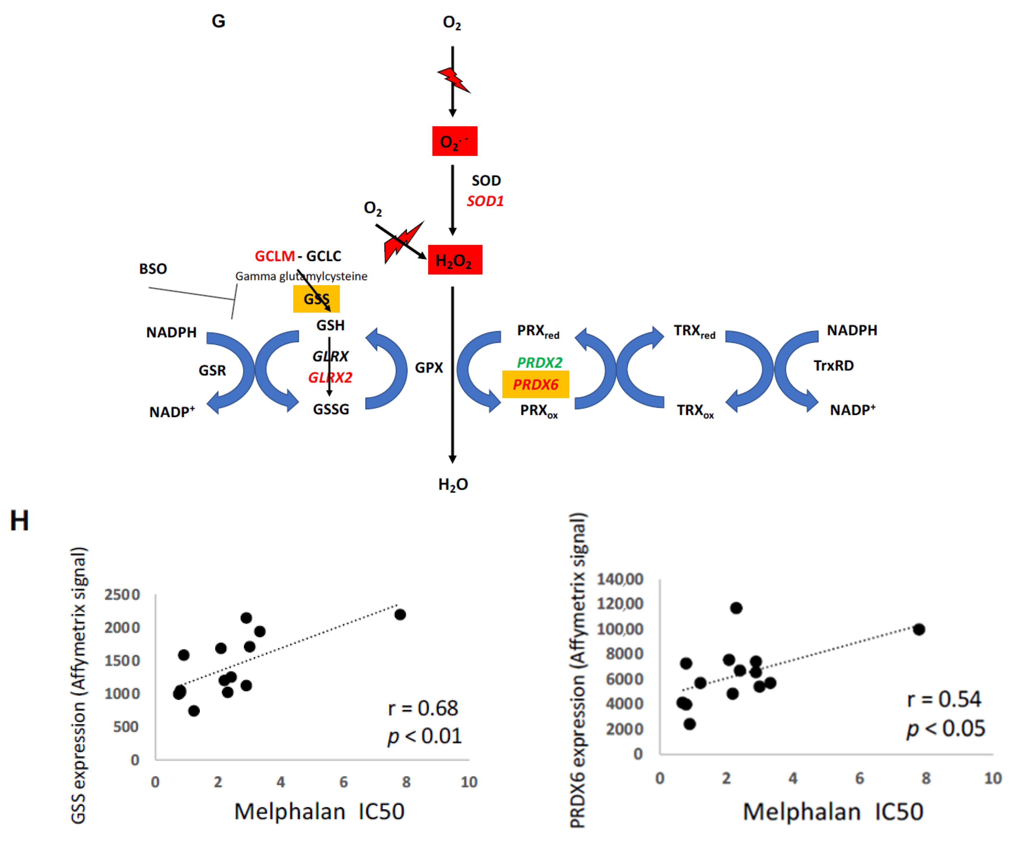 Cancers 11 00439 g008b Cancers 11 00439 g008b