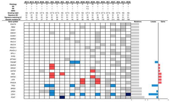 Bca Bearing Set Chart