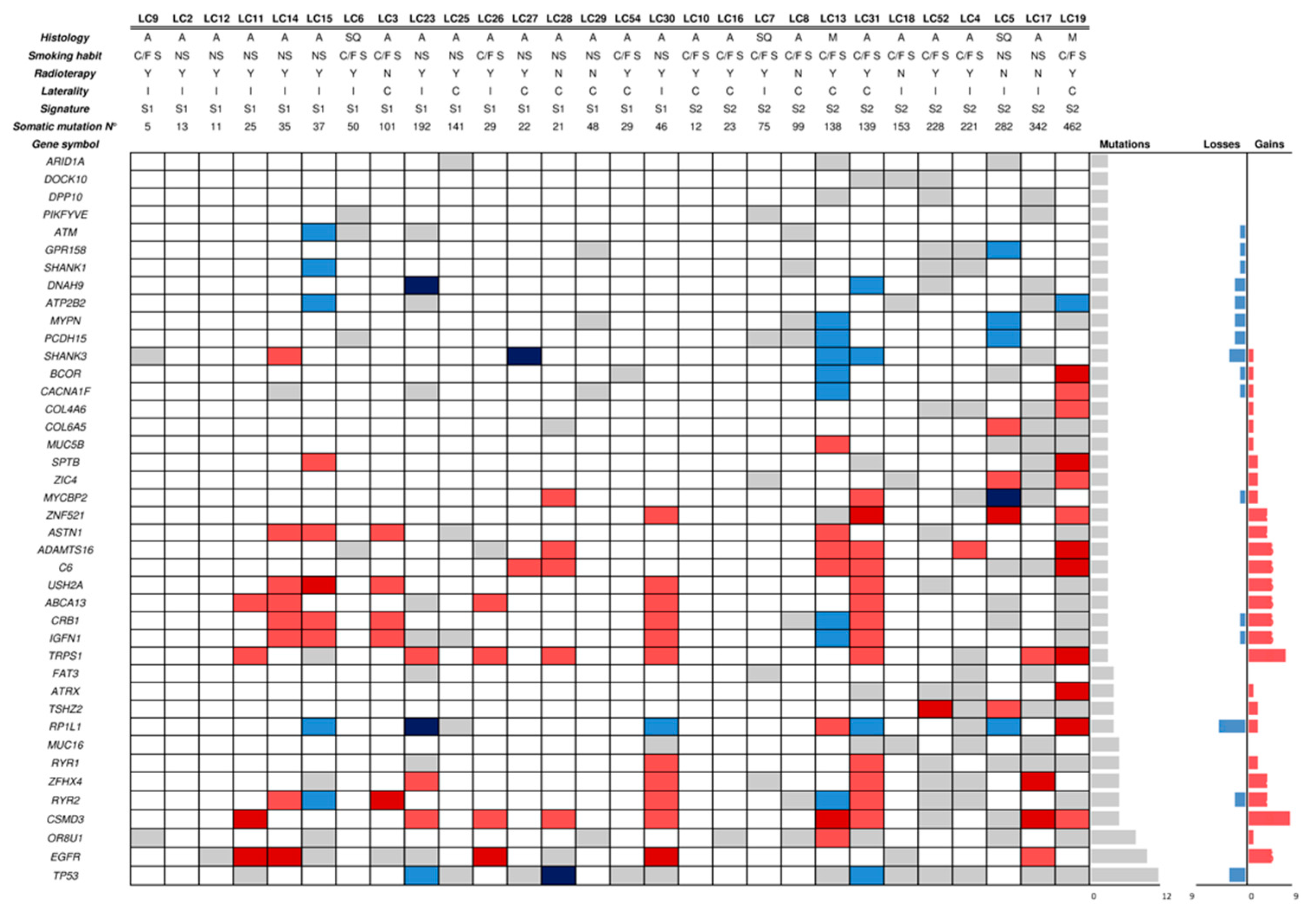 Cancers 11 00441 g002
