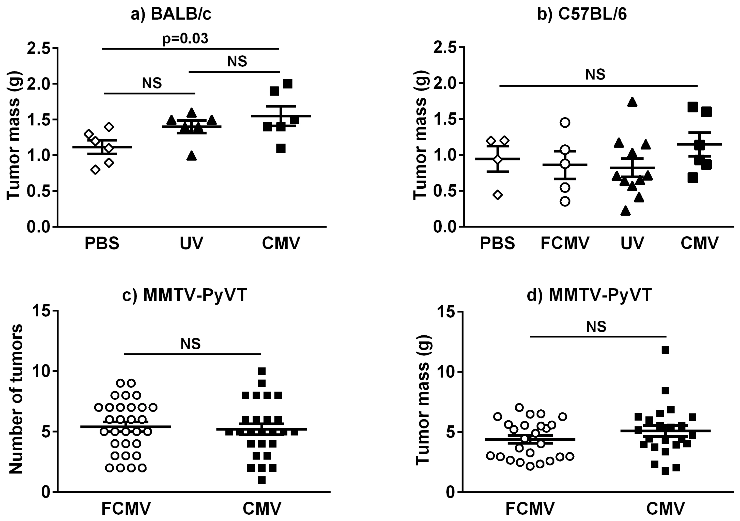 Cancers 11 00447 g001